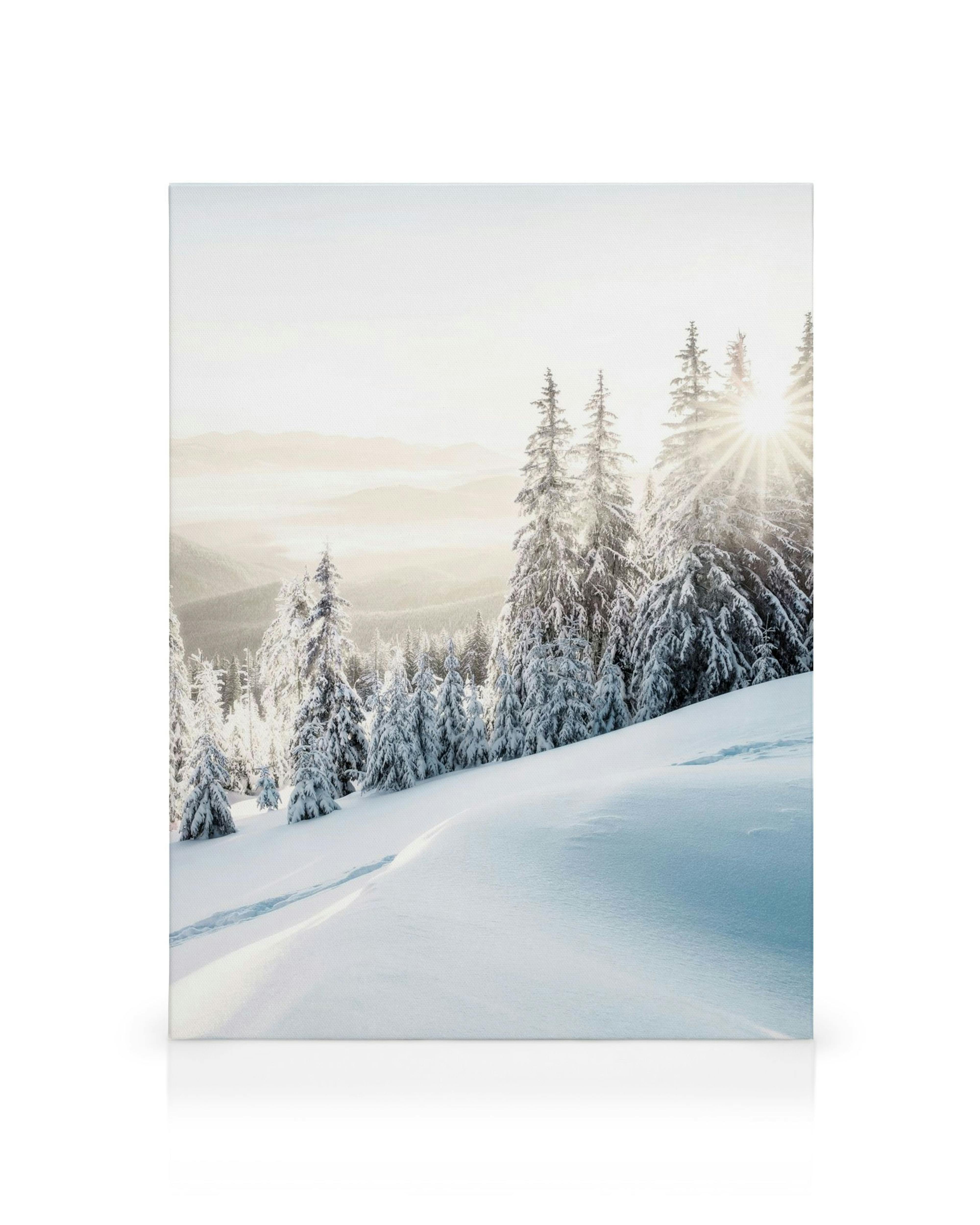 Obraz na płótnie przedstawiający zimowy, górski krajobraz z ośnieżonymi drzewami i promieniami słońca.