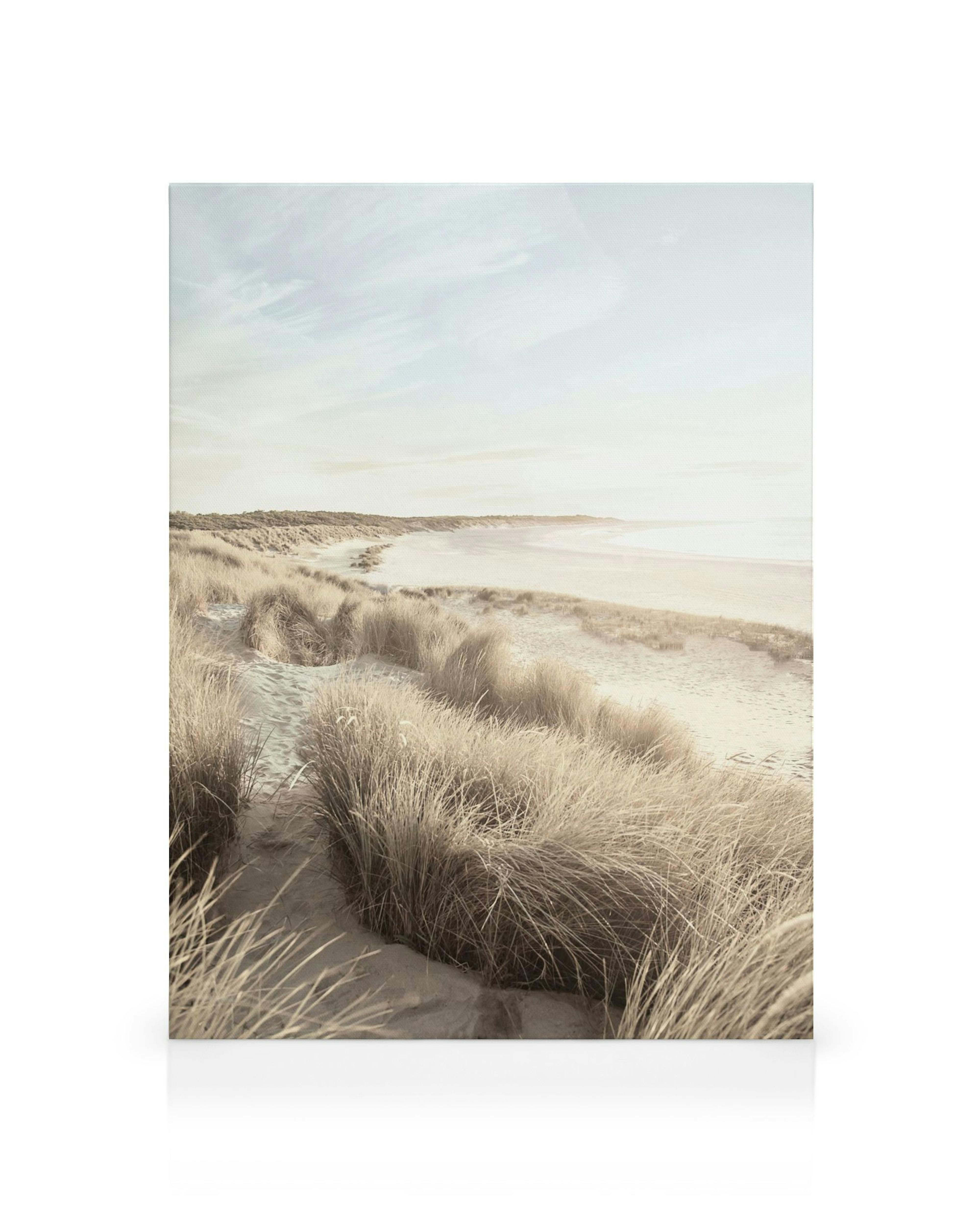 Lienzo de una playa de arena con dunas cubiertas de hierba seca bajo un cielo claro.