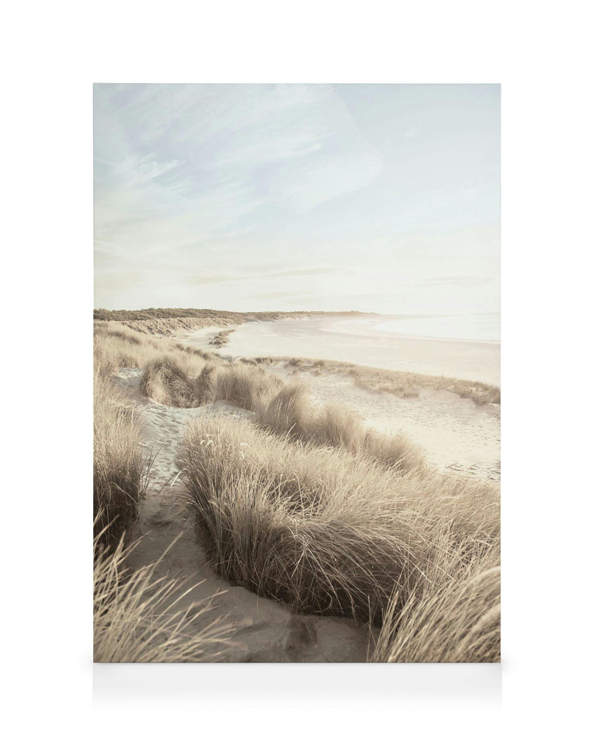 Obraz na płótnie przedstawiający piaszczystą plażę z wydmami i trawami, zalane ciepłym światłem słonecznym.