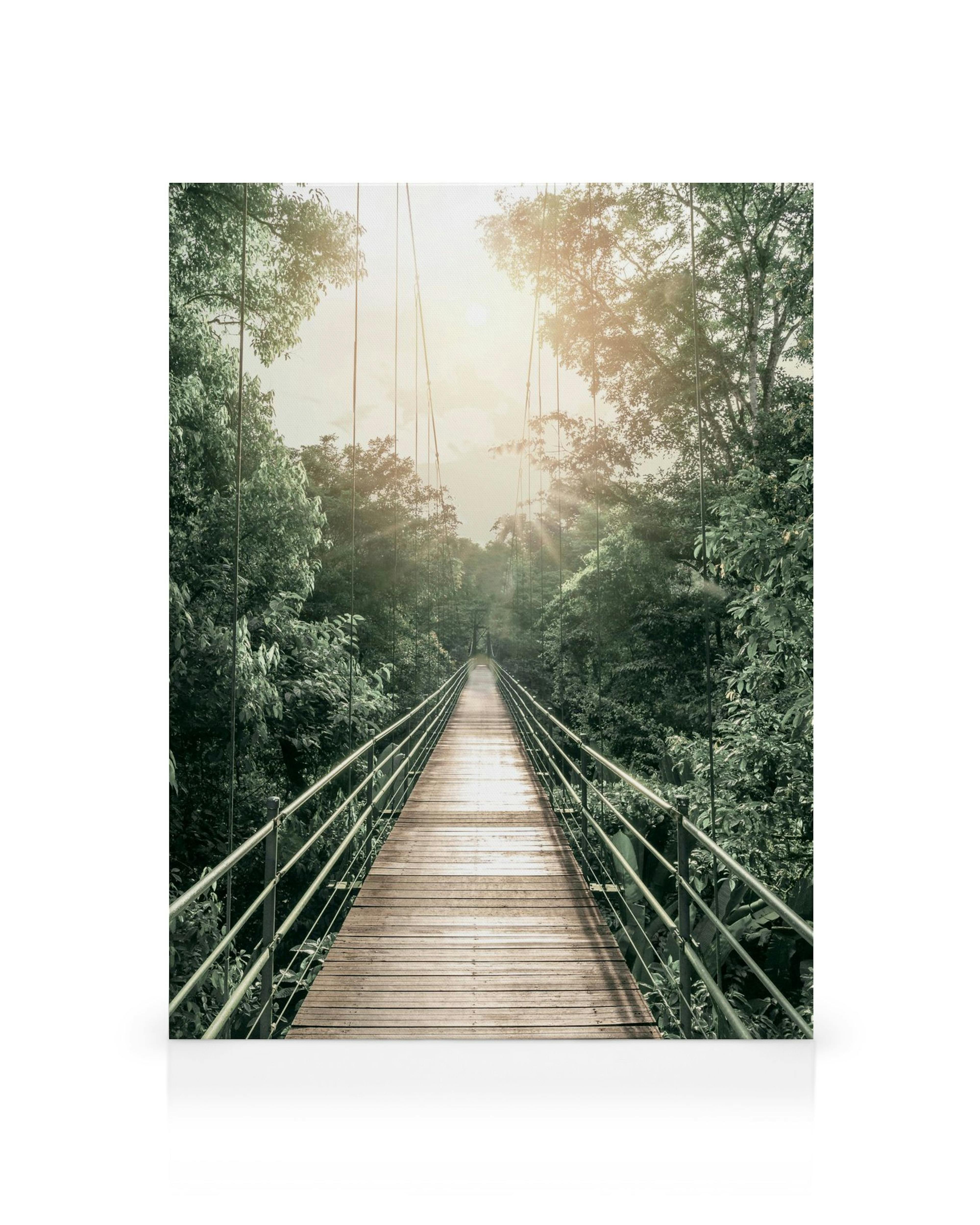 Toile dun pont suspendu en bois traversant une forêt luxuriante sous un ciel lumineux et ensoleillé.