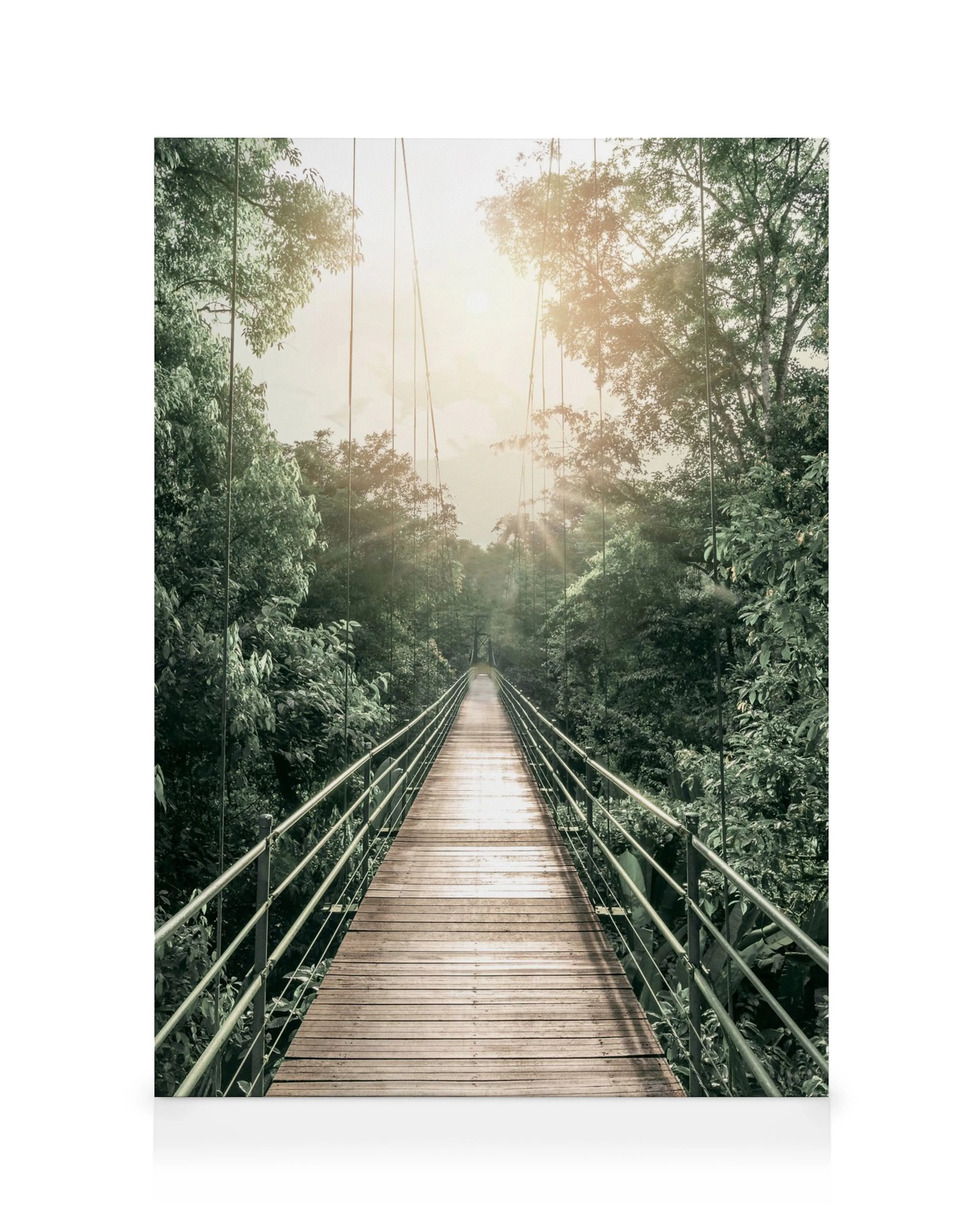 Toile dun pont suspendu en bois traversant une forêt luxuriante sous un soleil éclatant.