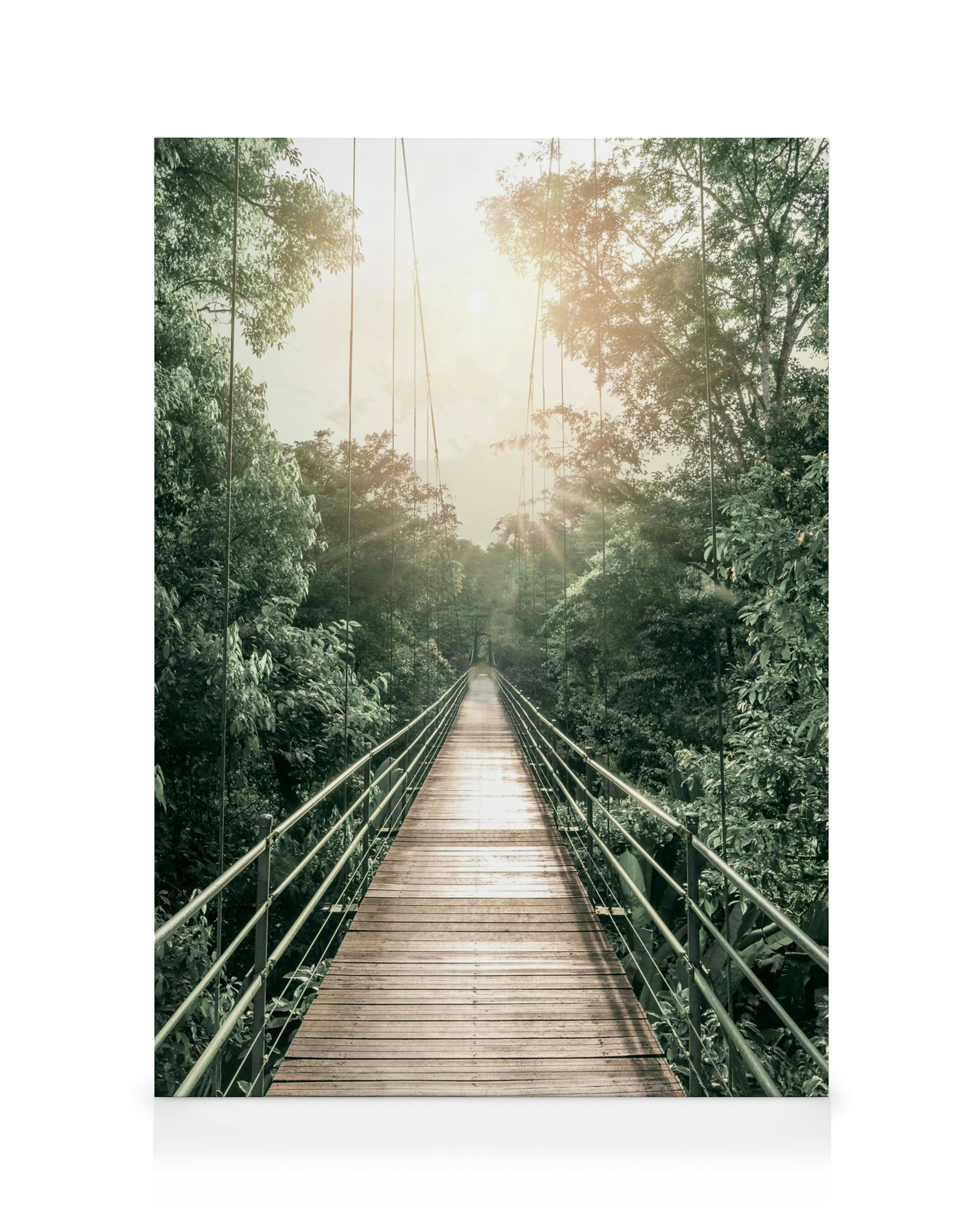 Obraz na płótnie przedstawiający długi, drewniany most wiszący w gęstym lesie, ze słońcem przebijającym się przez liście.