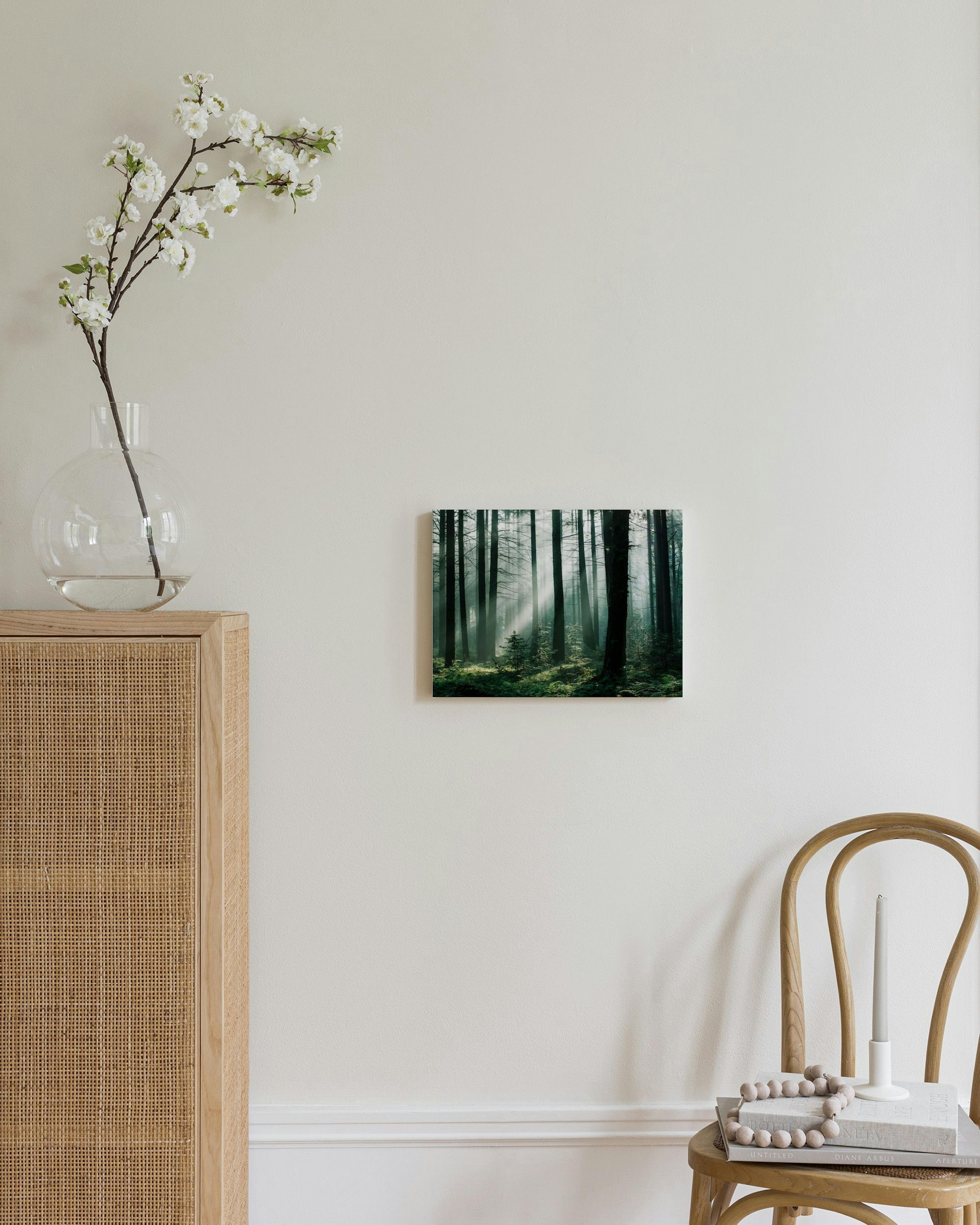 Obraz na płótnie przedstawiający mglisty las z promieniami słońca, wiszący nad drewnianą komodą w sypialni.