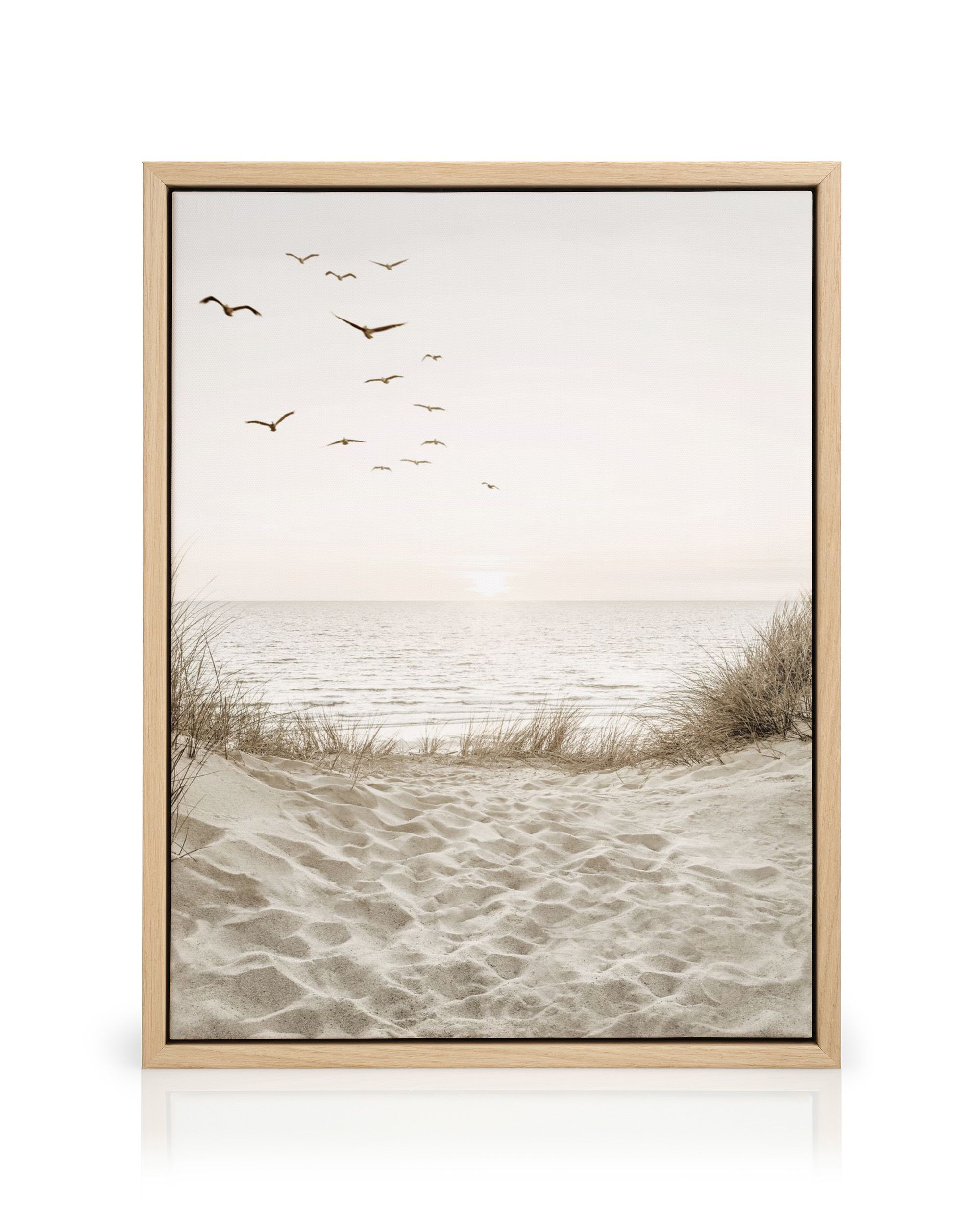 ZQQART Toile murale motif étoile de mer, coquillages sur tableau bleu sarcelle – Impressions sur toile rustique de nature côtière pour salle de bain, cuisine, décoration d'intérieur (étoile de mer