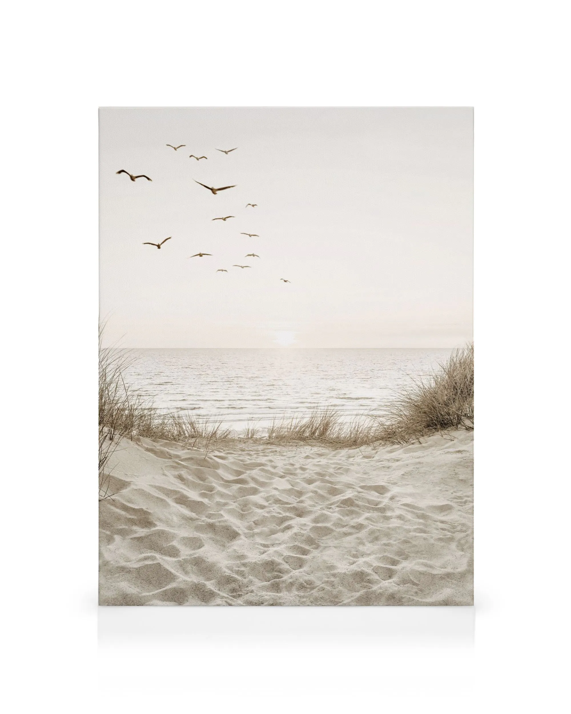 Fleurs en bord de mer affiches et impressions par Key and Sea Creative Fleurs en bord de mer affiches et impressions par Key and Sea Creative