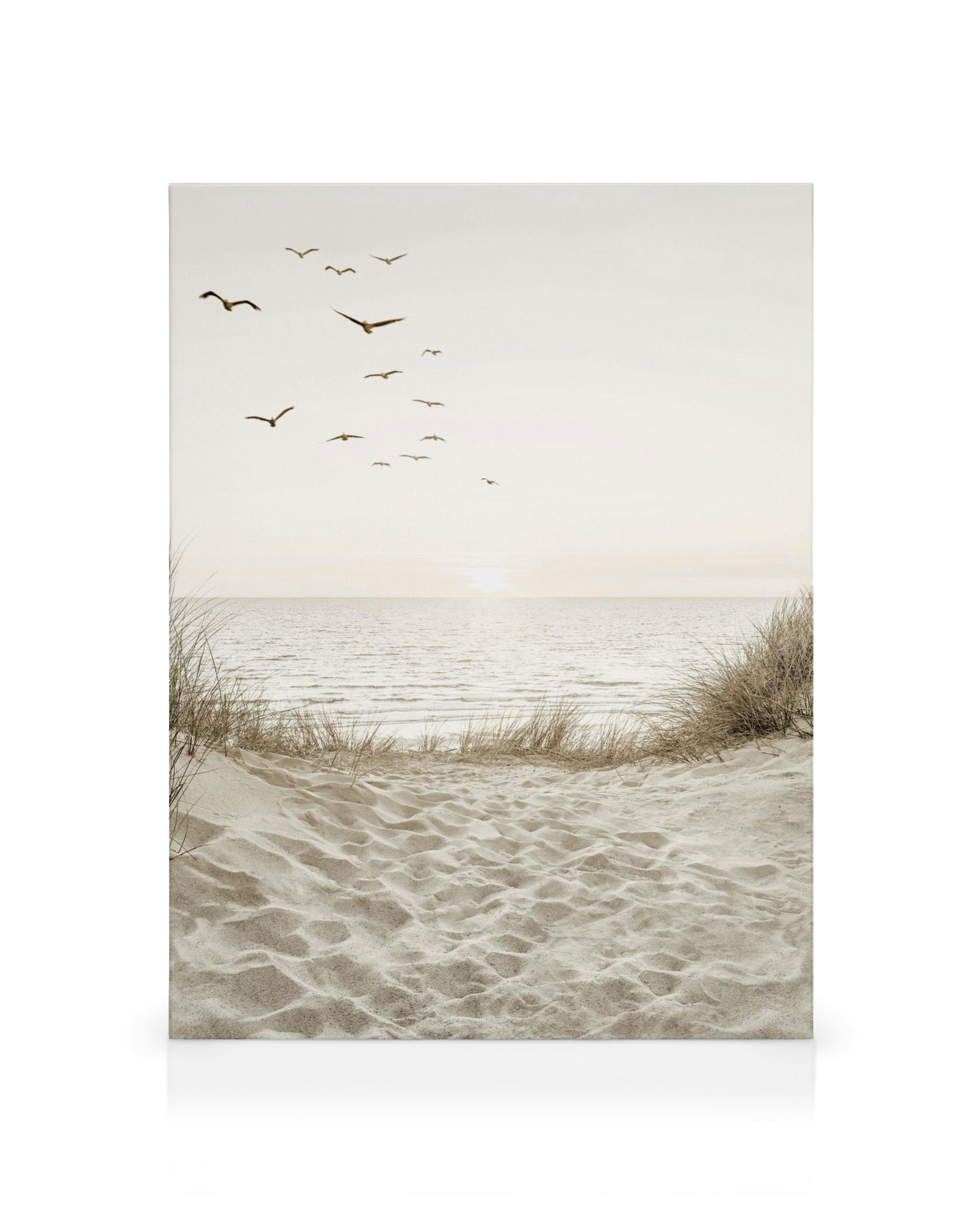 Toile paysage de plage avec dunes de sable, mer, soleil couchant et envol doiseaux.