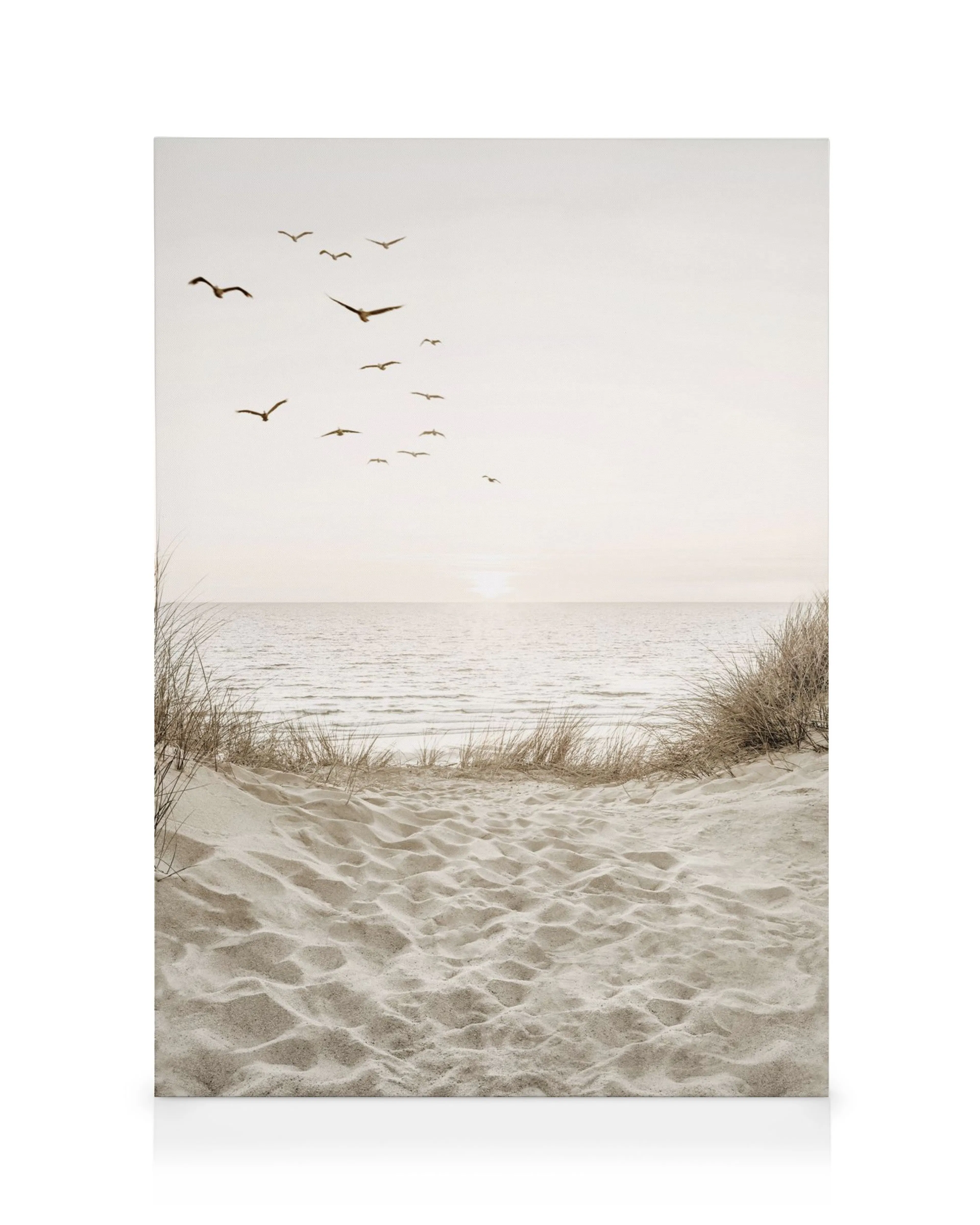 Lienzo de una playa arenosa con dunas y hierba seca, gaviotas volando sobre el océano al atardecer.