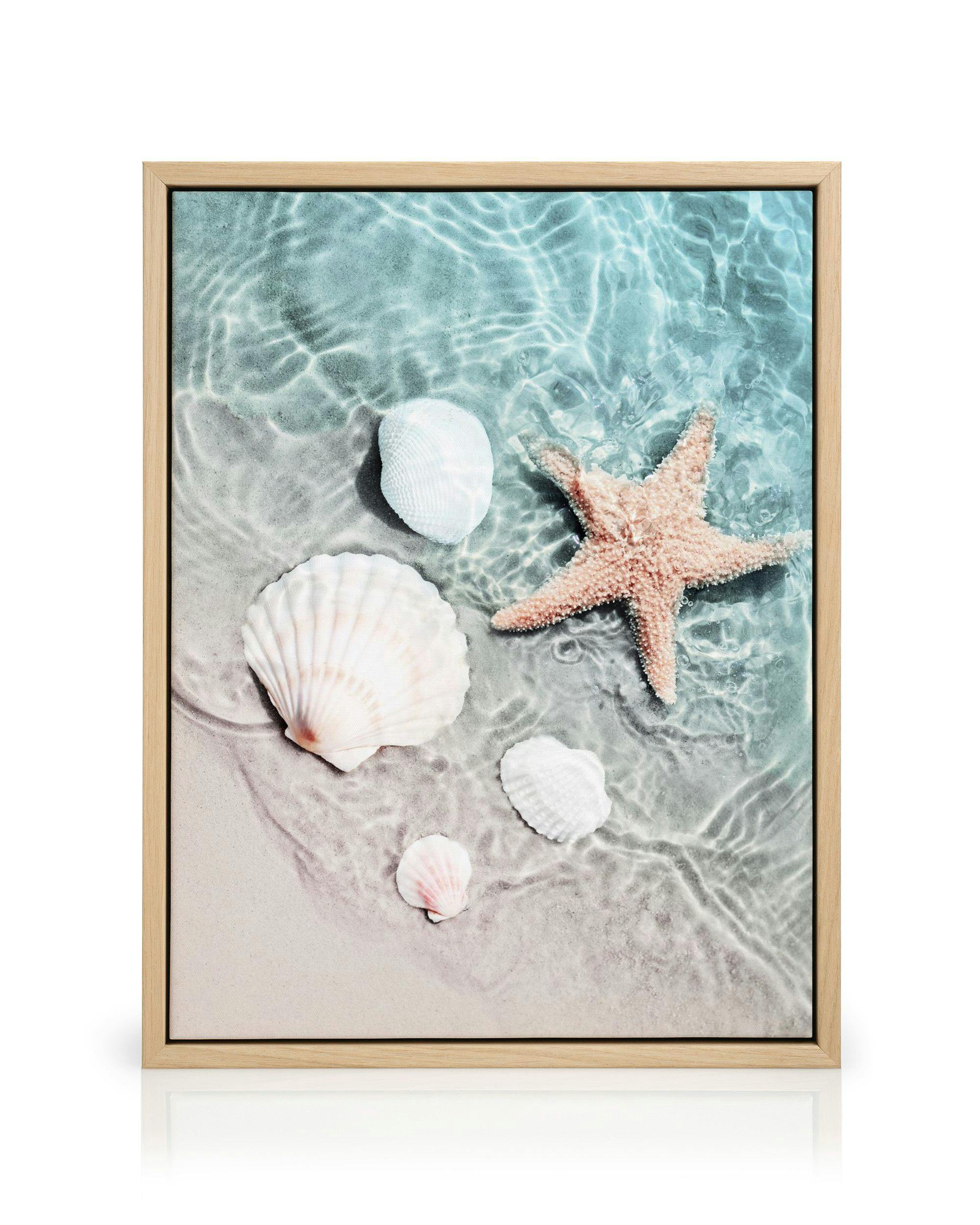 Stampa su tela con stelle marine e conchiglie su sabbia bagnata e acqua cristallina.