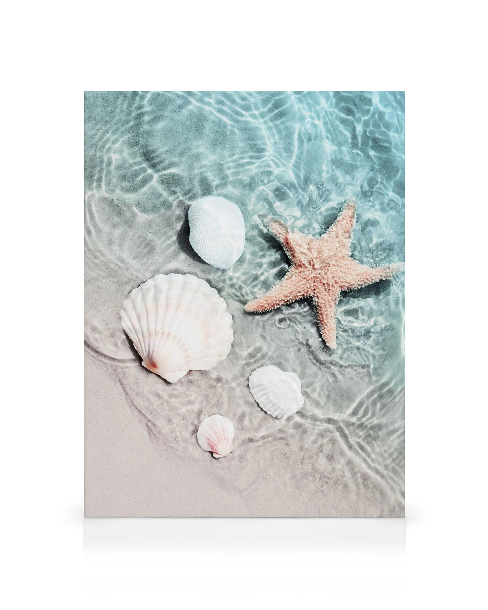Stampa Su Tela Con Conchiglie E Stelle Marine - Quadro Motivazionale 50x40 Cm Per Soggiorno, Bagno, Camera Da Letto