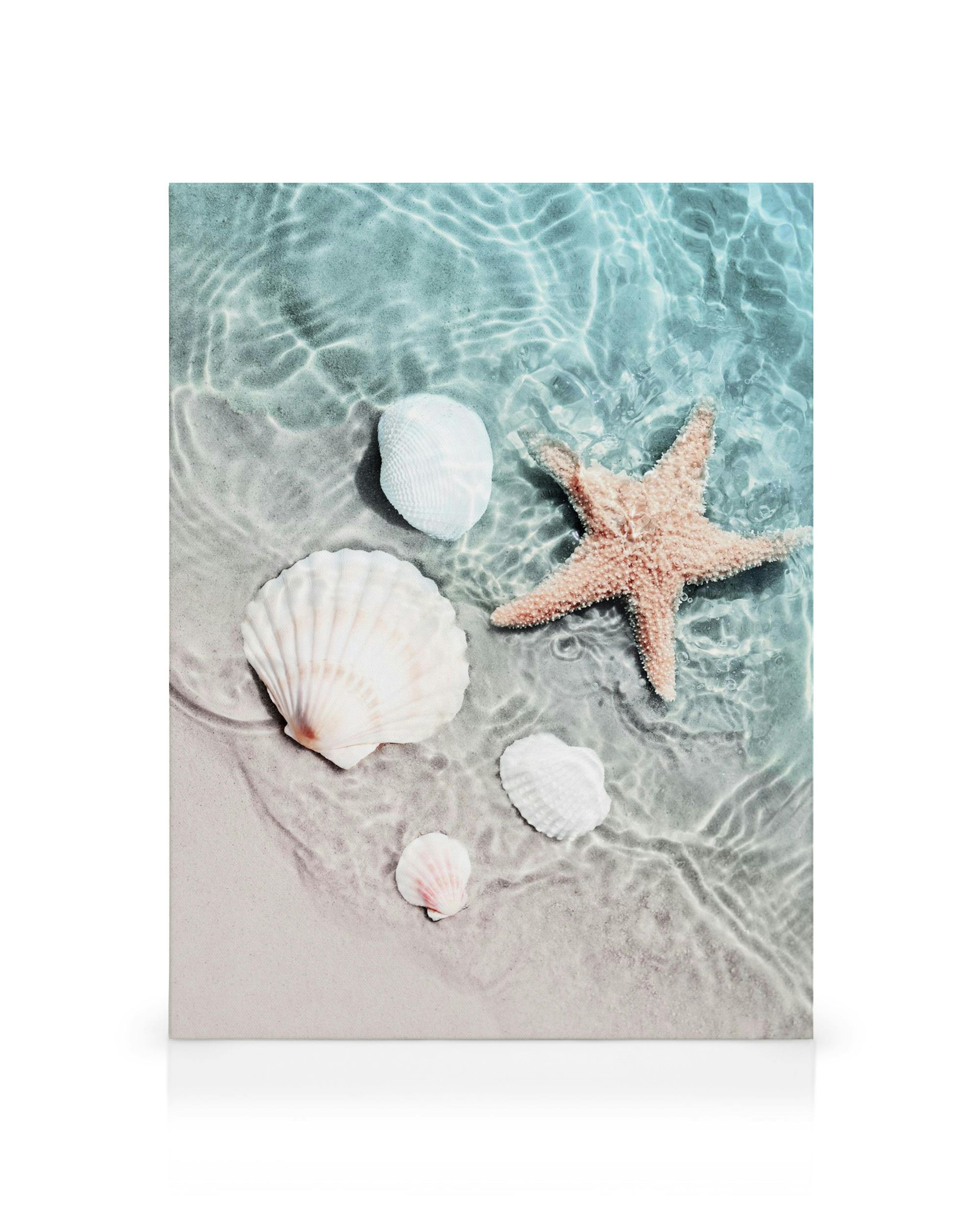 Een canvas met zeeschelpen en een zeester op een zandstrand onder helder water.