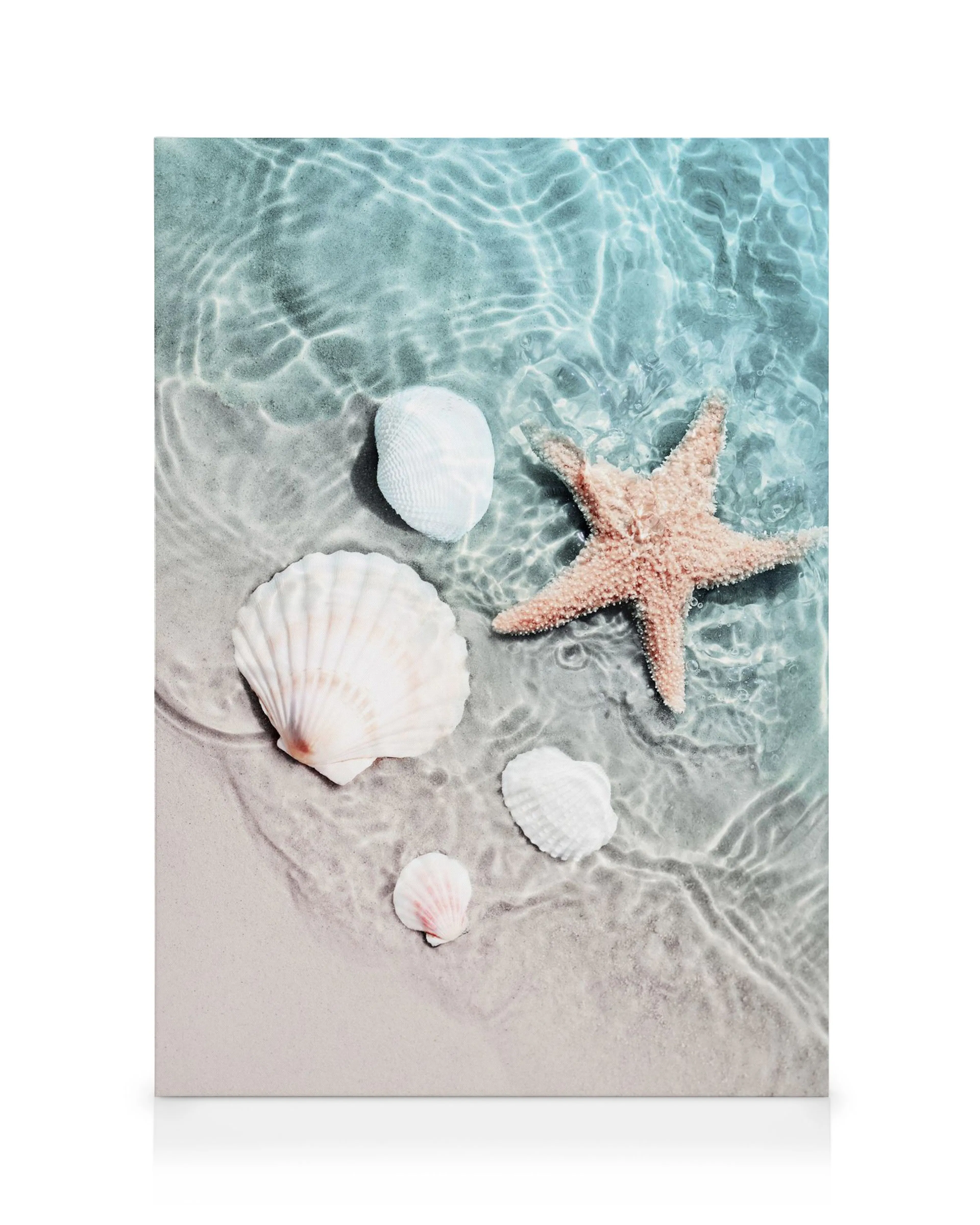 A canvas showing a starfish and seashells on a sandy beach with clear, rippling blue-green water.