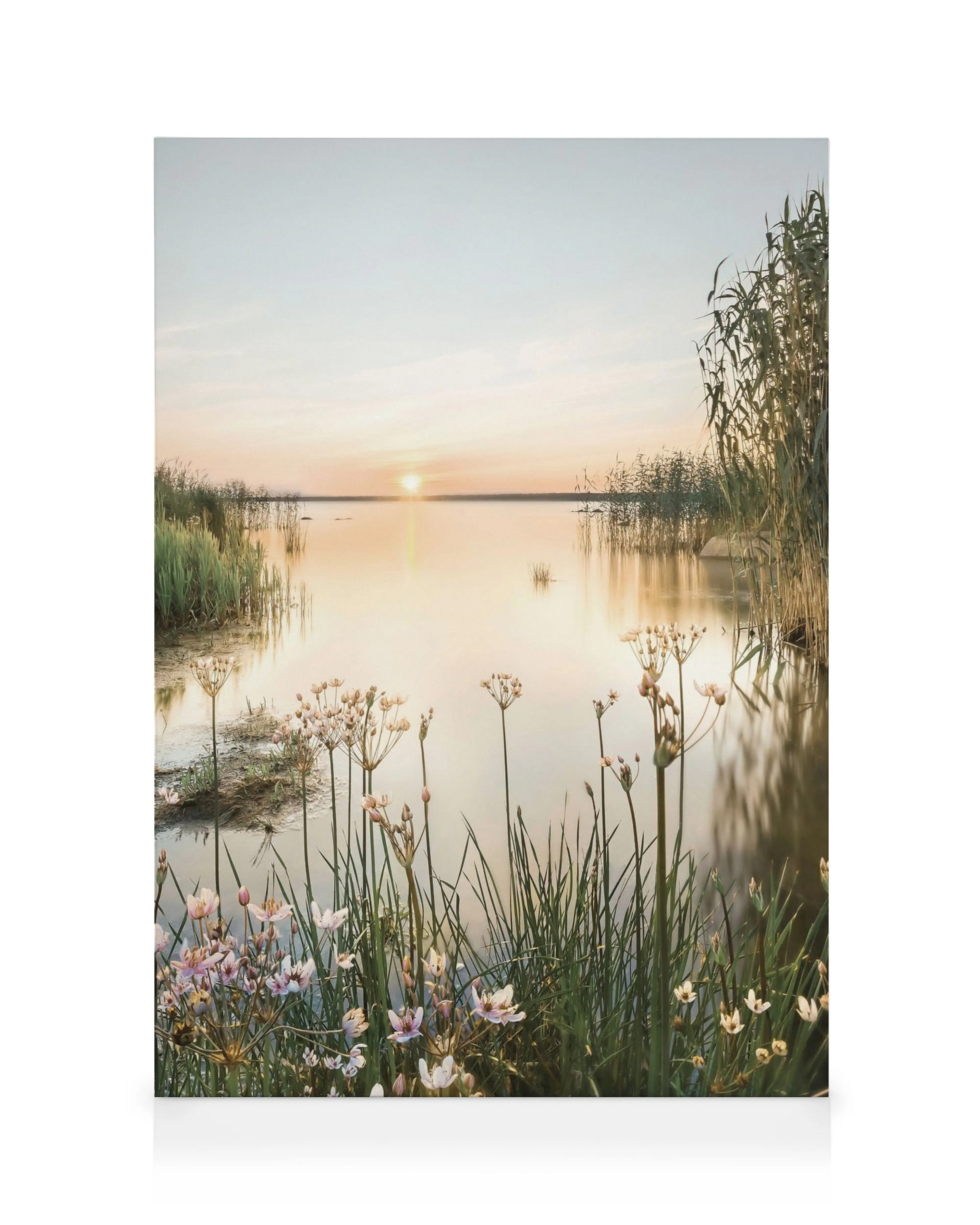 Lienzo de un pantano al atardecer, con flores y cañas en primer plano y el sol reflejado en el agua.