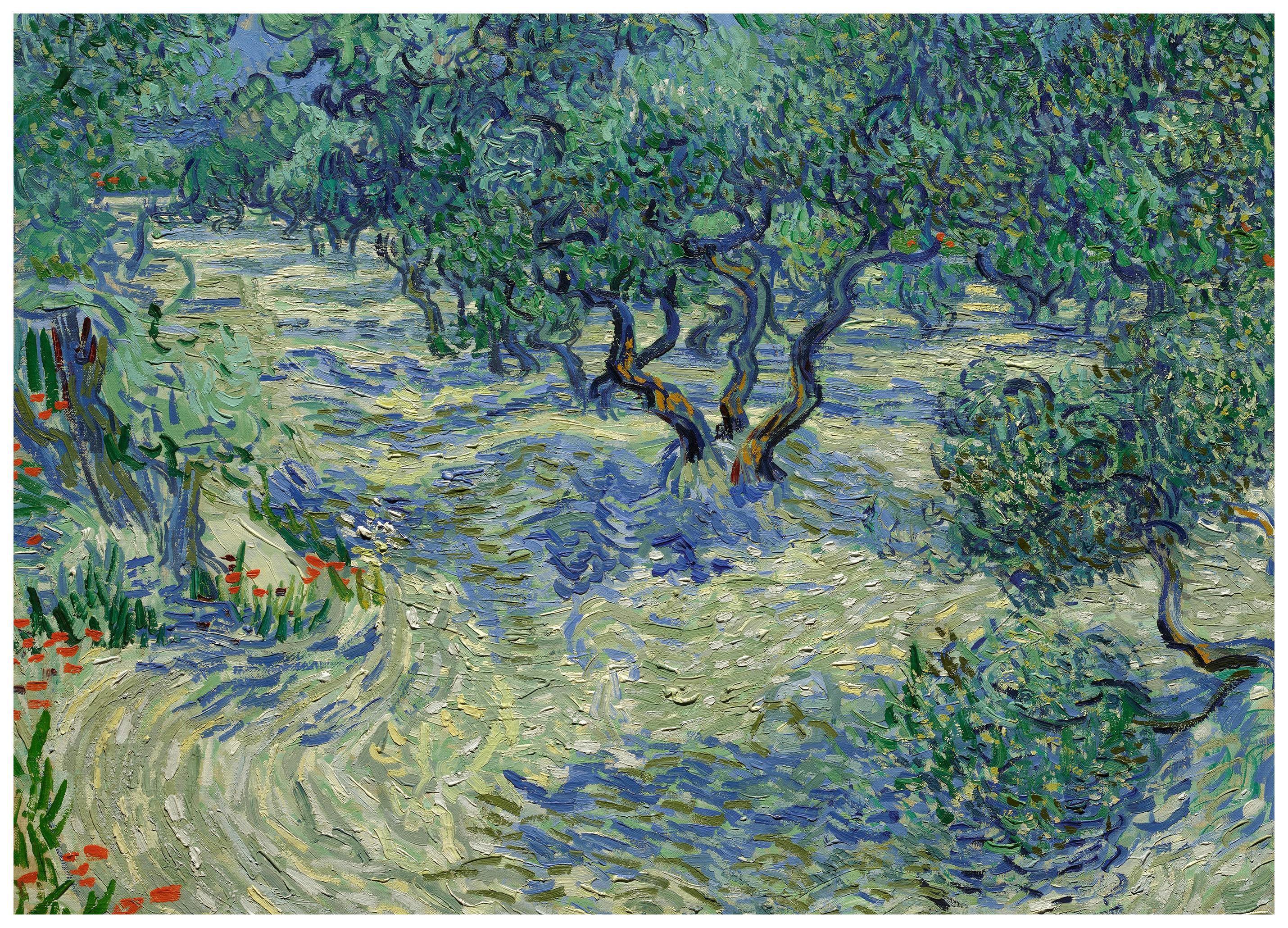 Vincent Van Gogh - Olivlund Poster (70x100 cm) - Poster Store