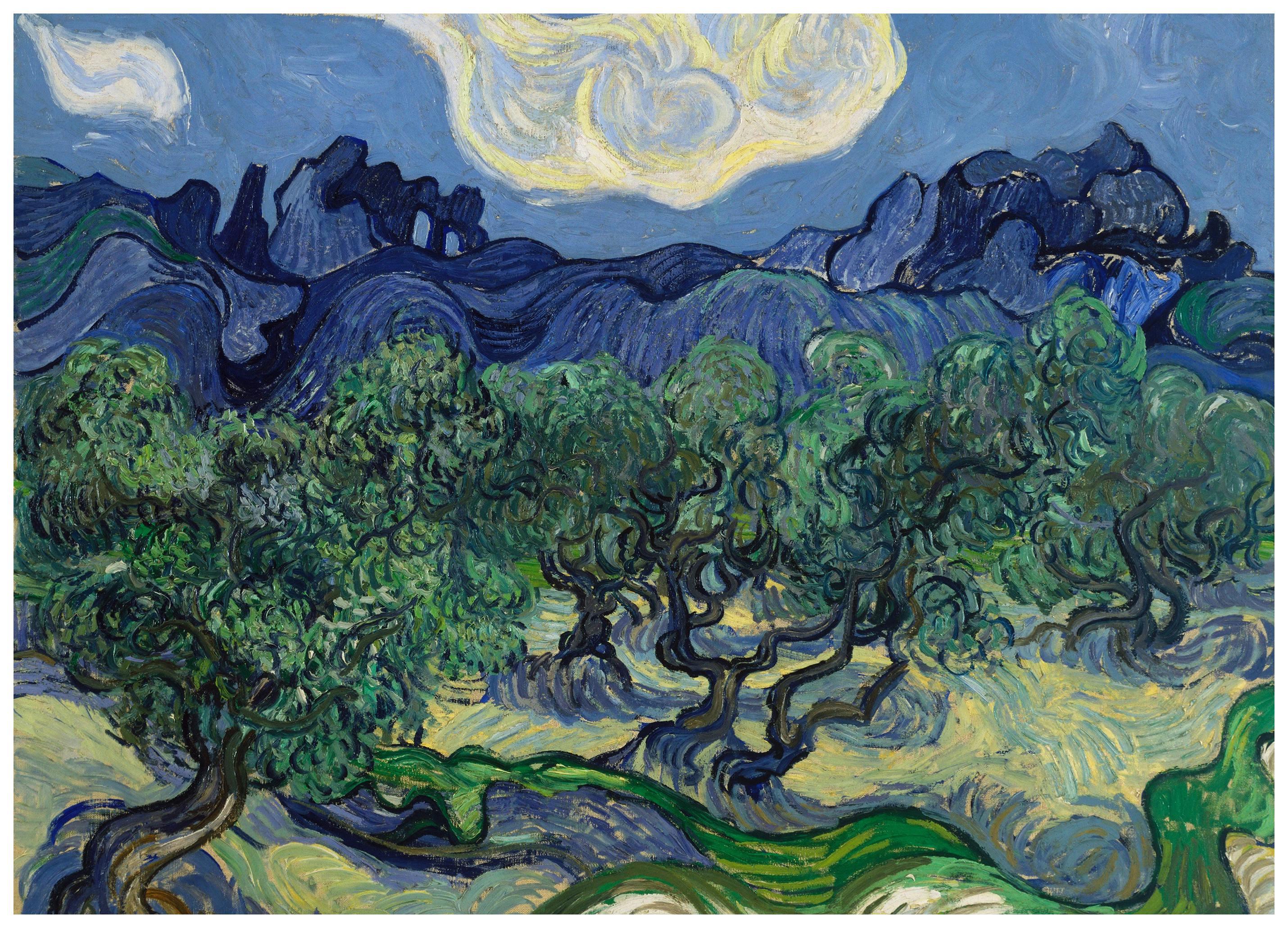Vincent Van Gogh - Olivträden Poster (50x50 cm) - Poster Store