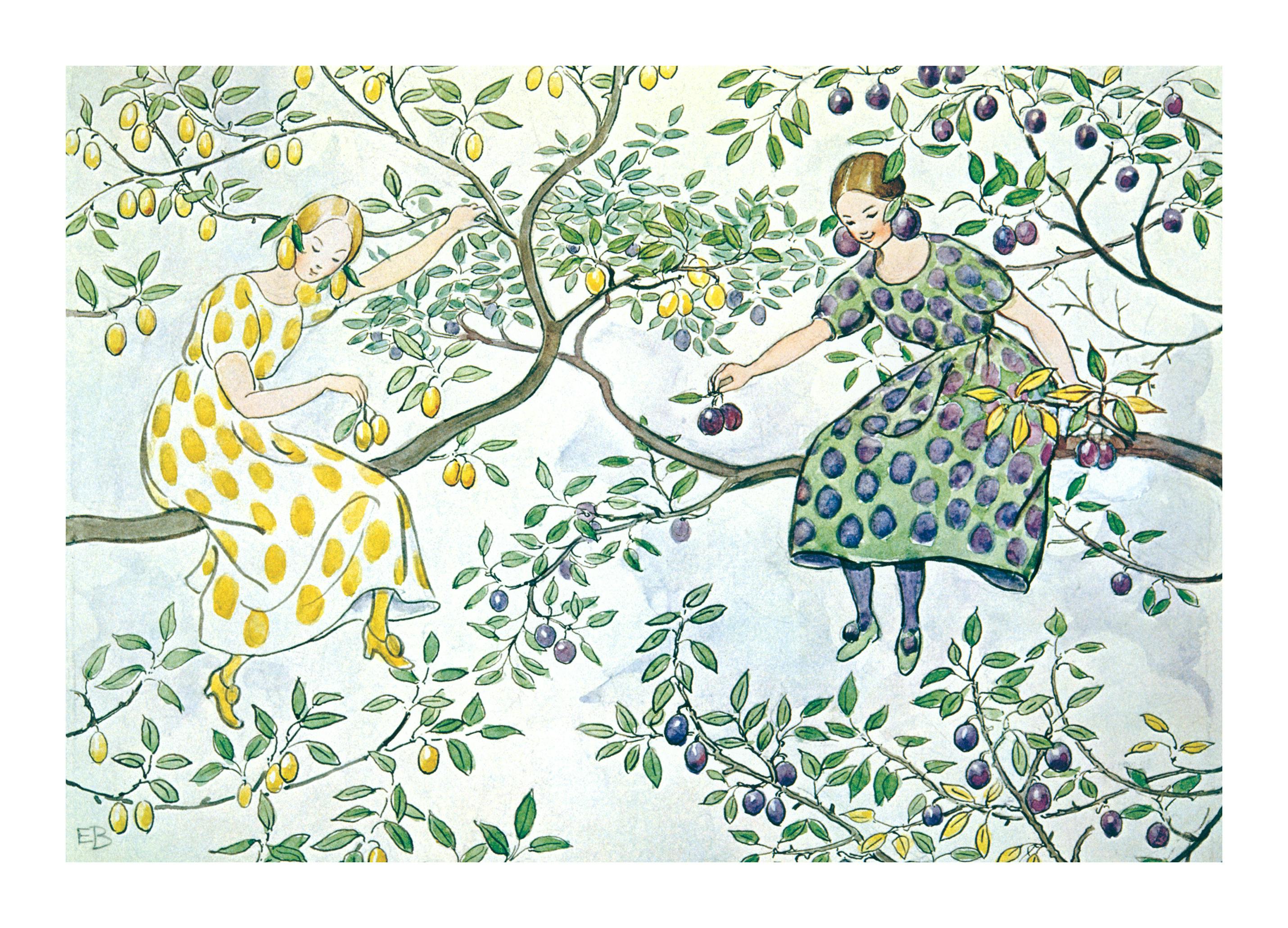 Elsa Beskow - Il Piccolo Lasse nel Giardino Poster (50x70 cm) - Poster Store