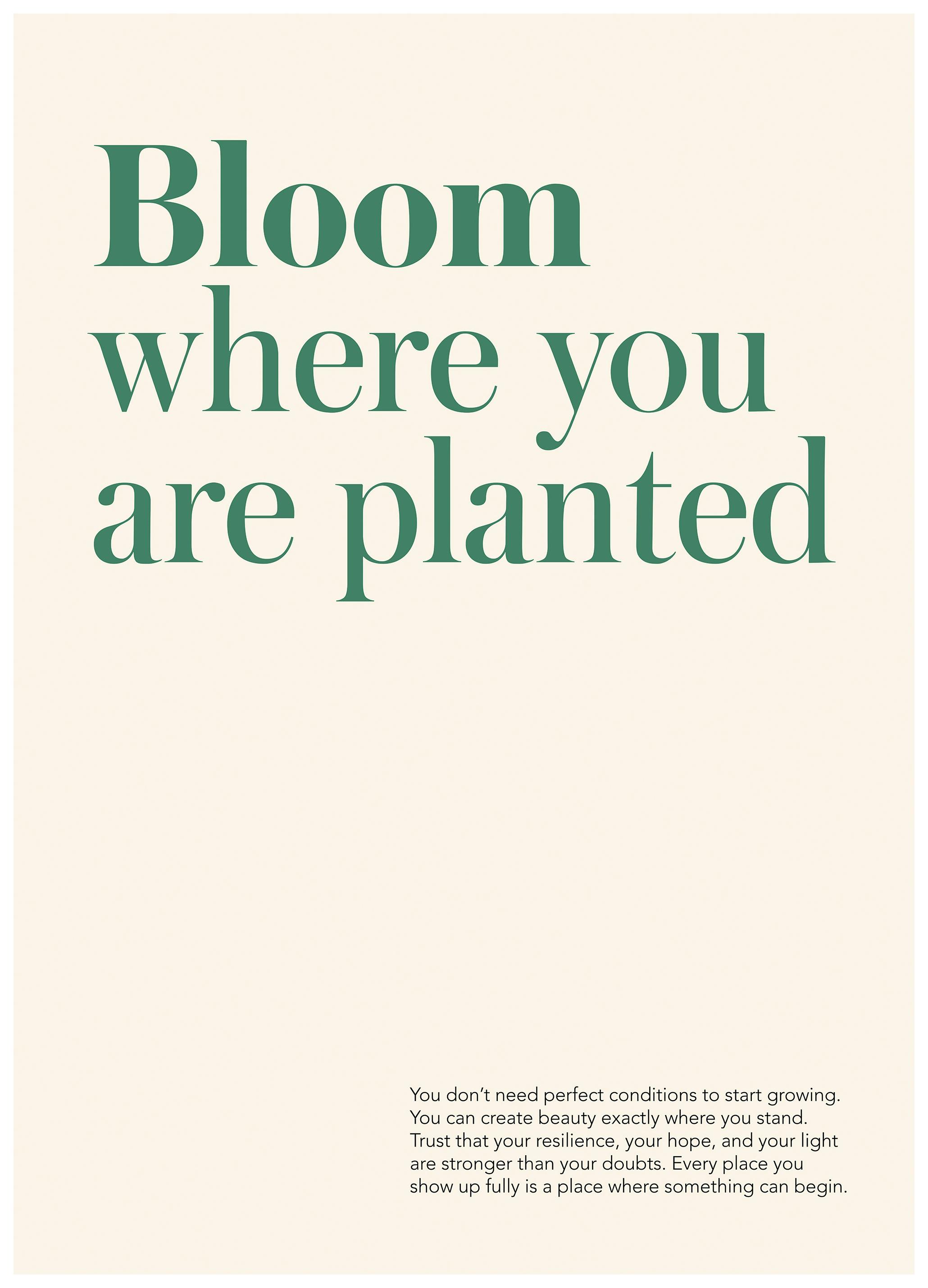 Bloem Poster (70x100 cm) - Poster Store