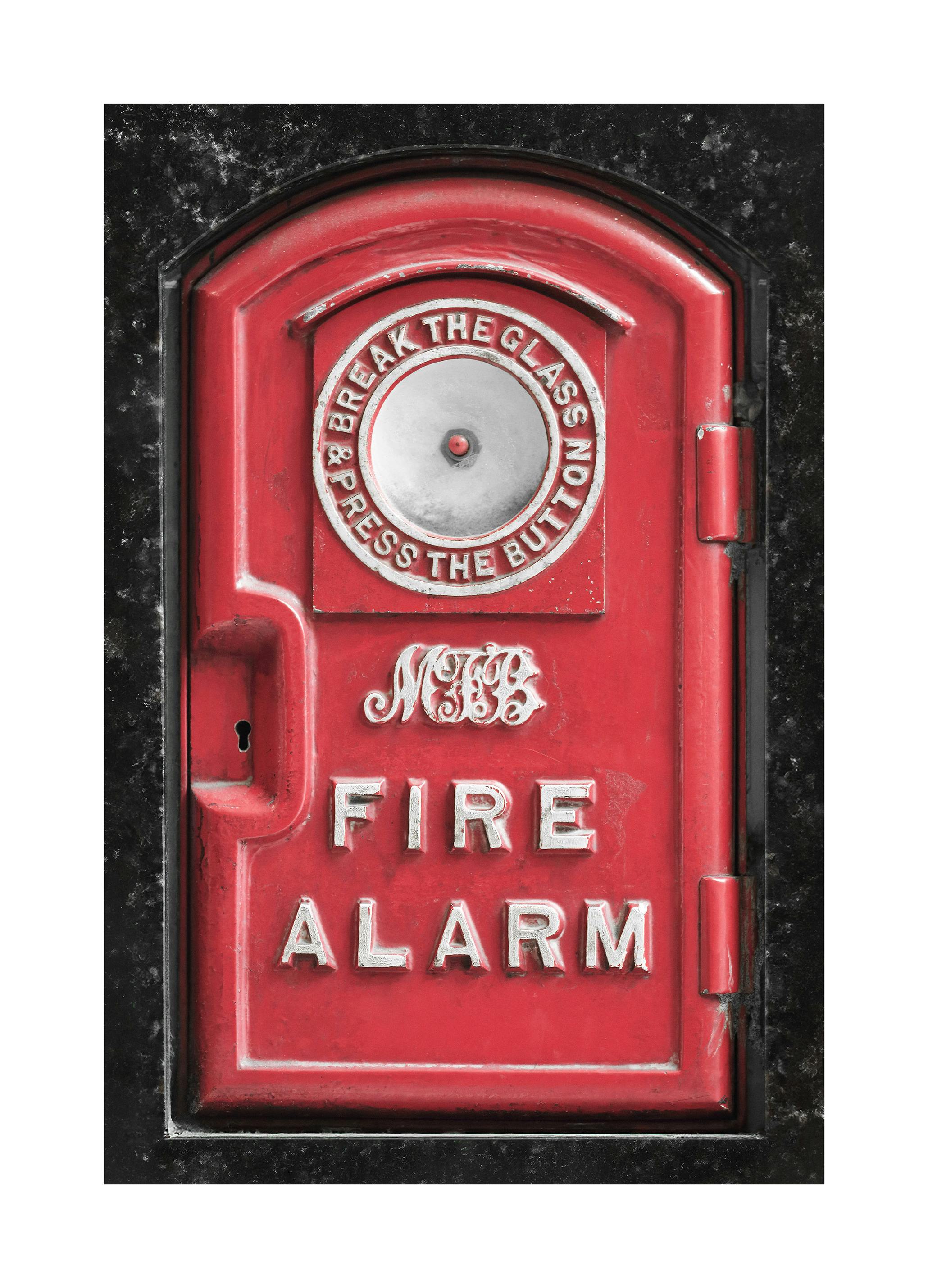 Fire Alarm Poster (70x100 cm) - Poster Store