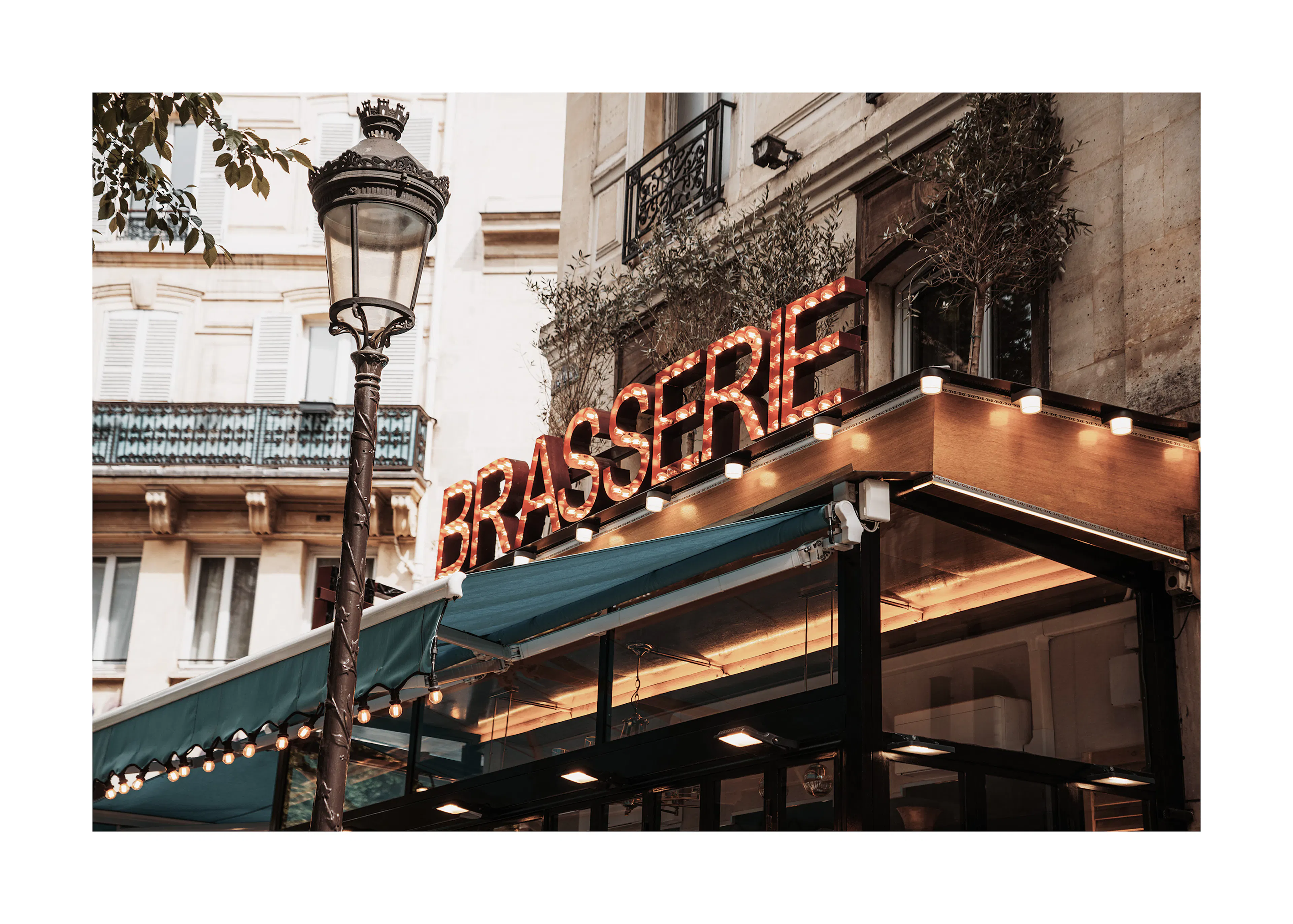 Brasserie Sign Poster 0