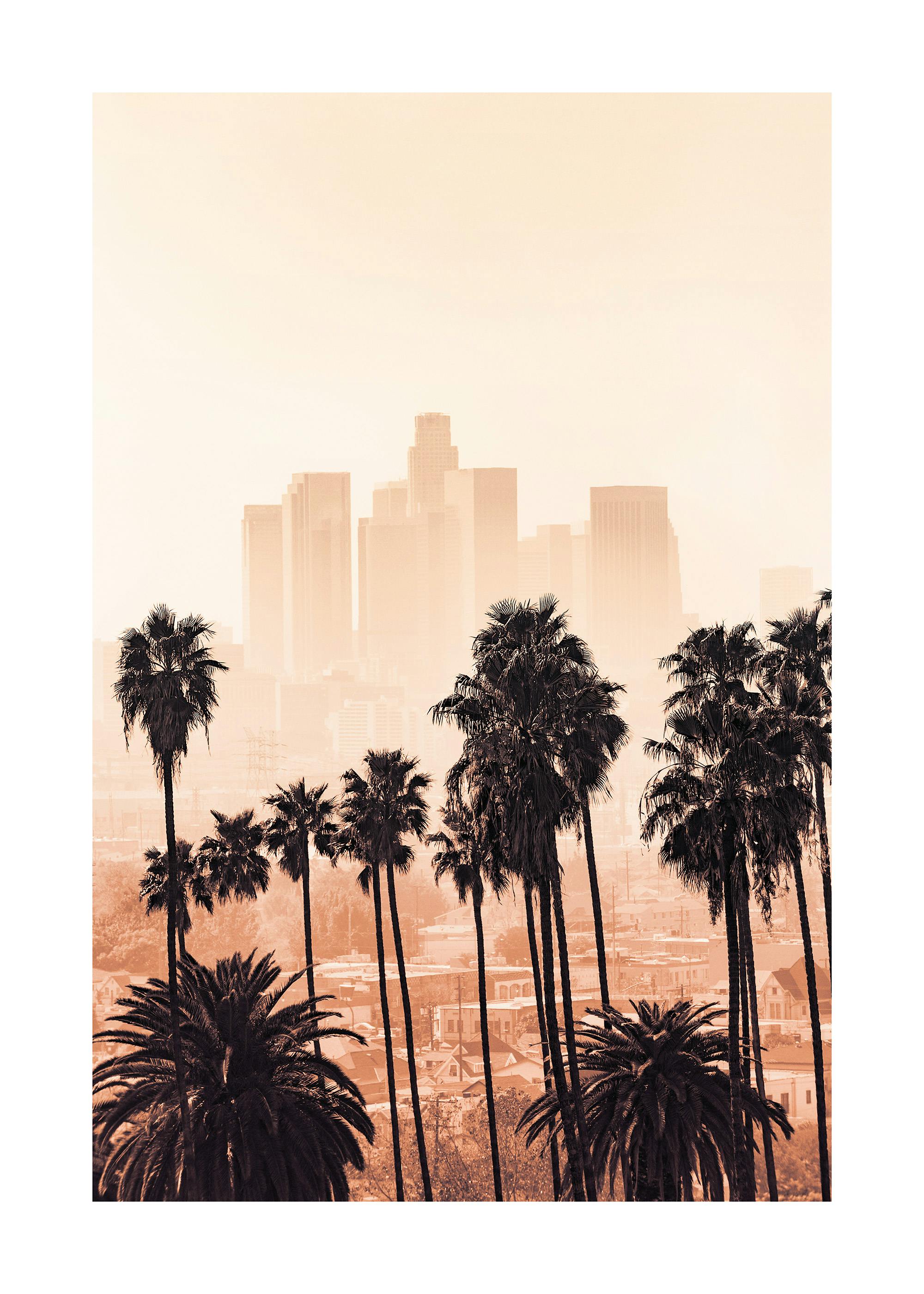 Los Angeles Skyline Poster 0