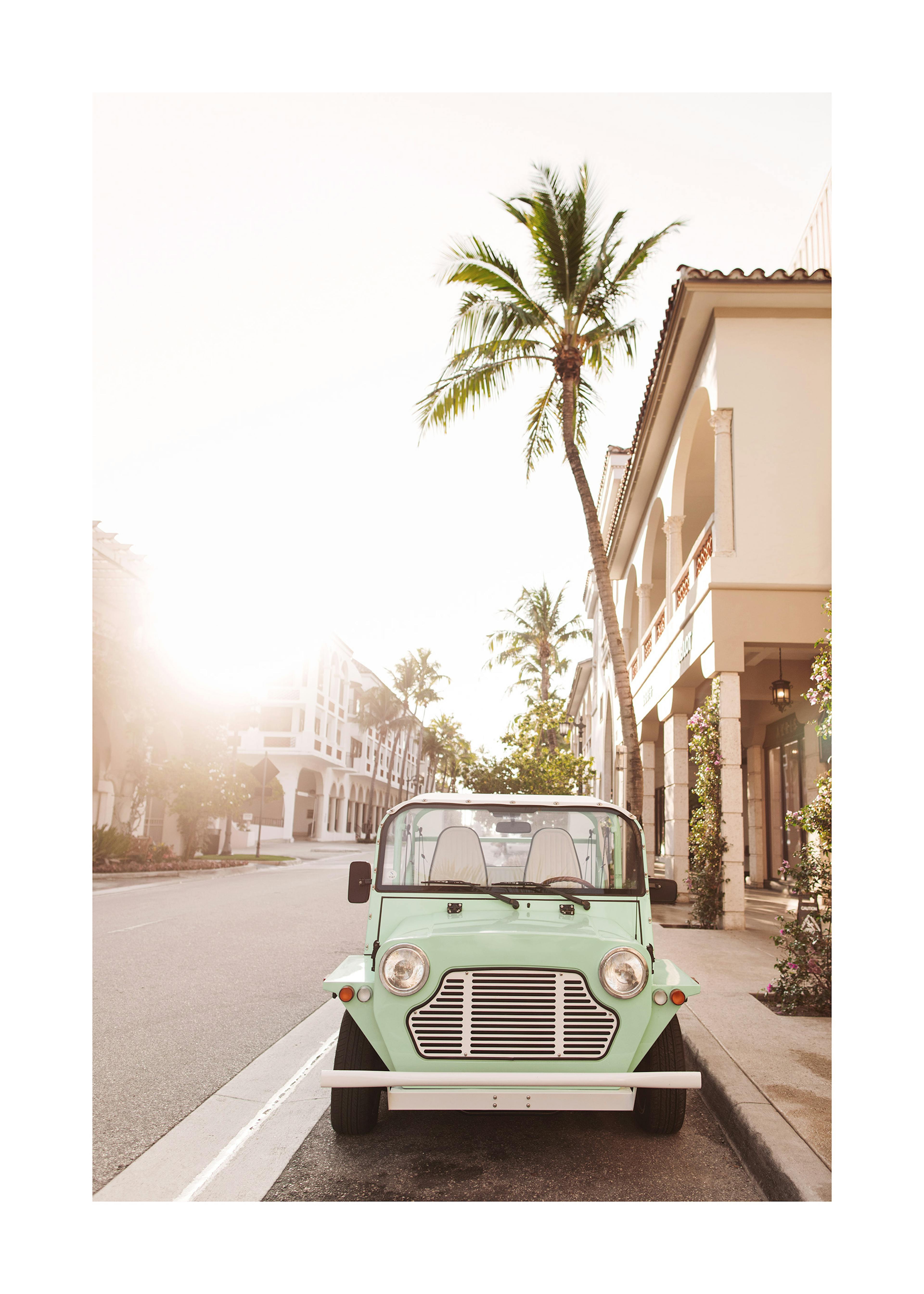 Streets of Palm Beach Poster 0