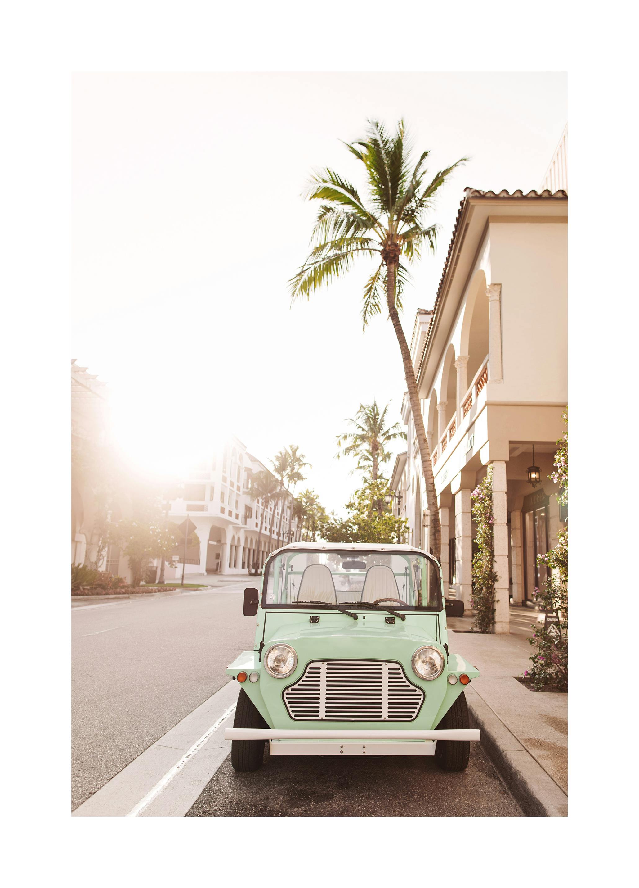 Gater i Palm Beach Plakat (70x100 cm) - Poster Store