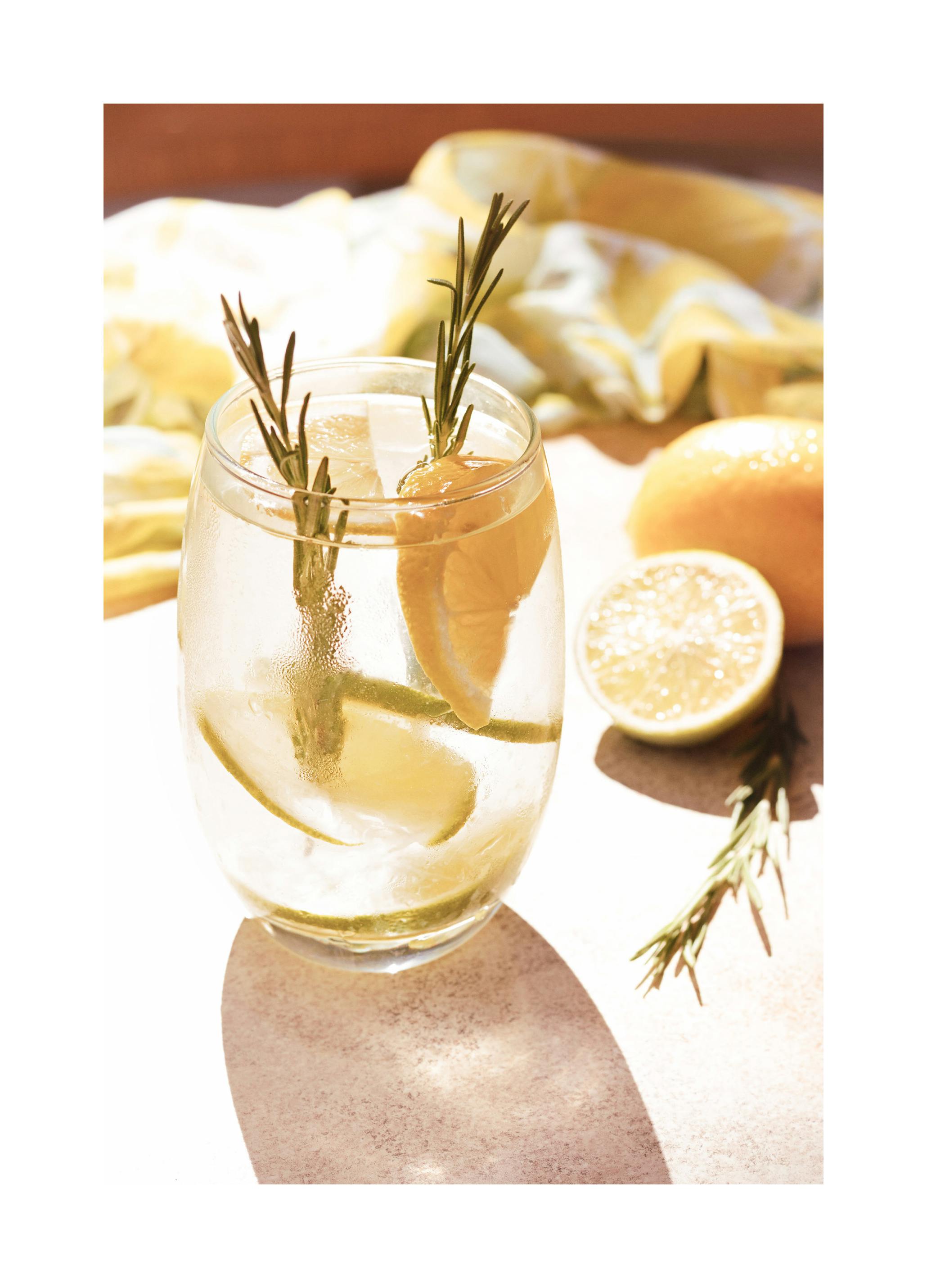 Citrus Cocktail Poster (50x70 cm) - Poster Store