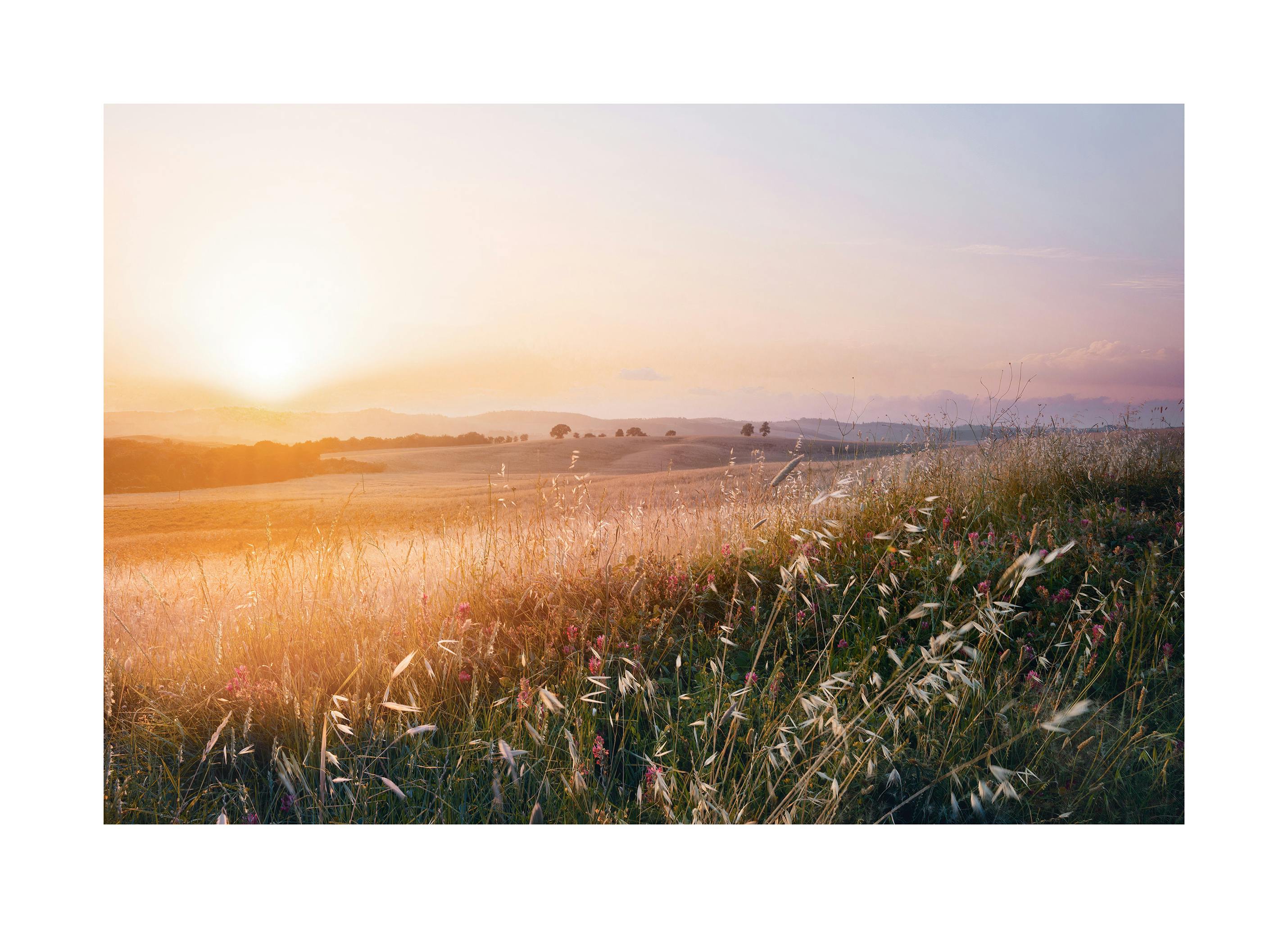 Zonnige Weide Poster (21x30 cm) - Poster Store