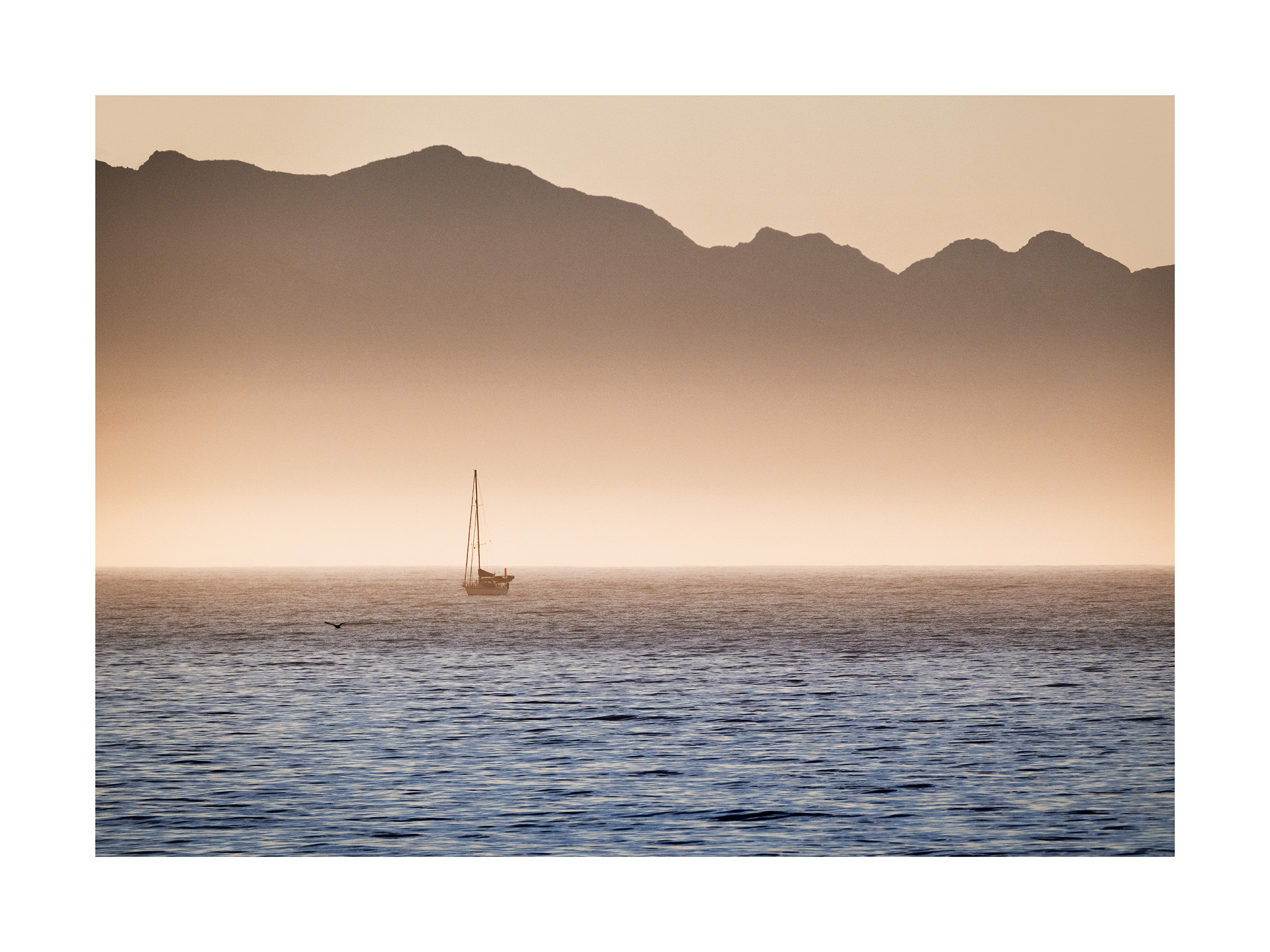 False Bay Boat ヨットと海の風景ポスター | Poster Store JP