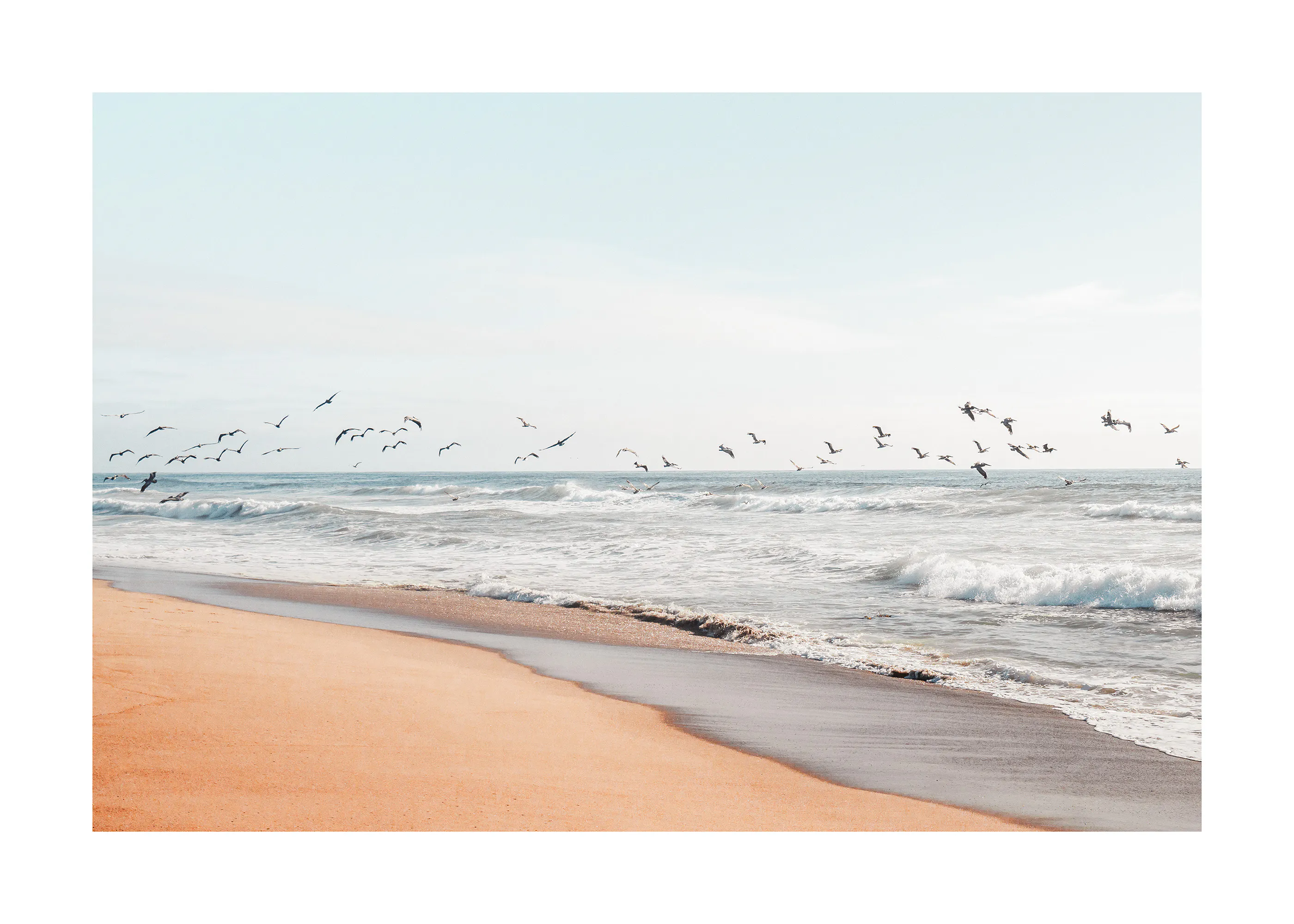 Pacific Coastline Poster 0