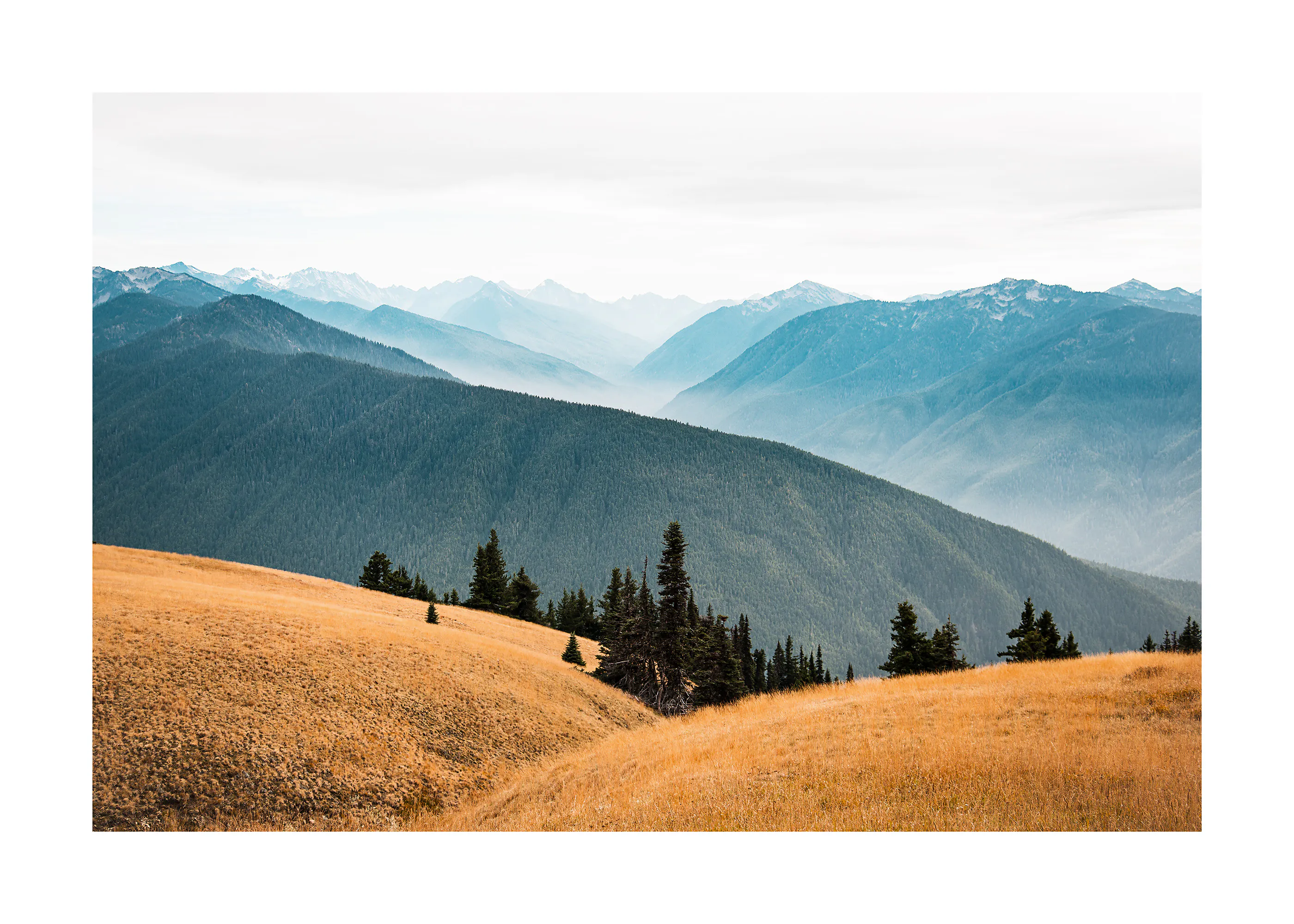 Olympic National Park Poster 0