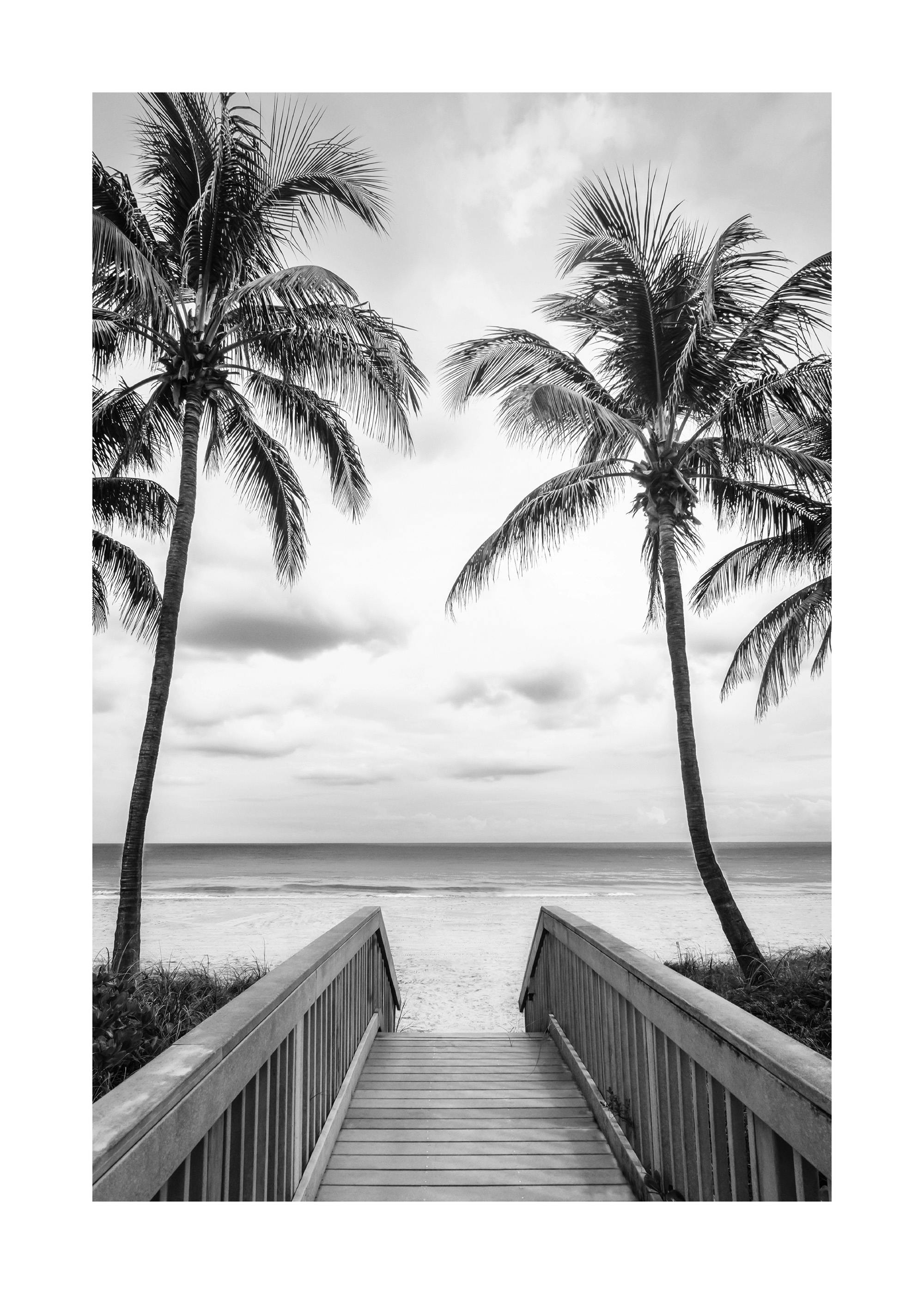 Boardwalk to the Beach Poster 0