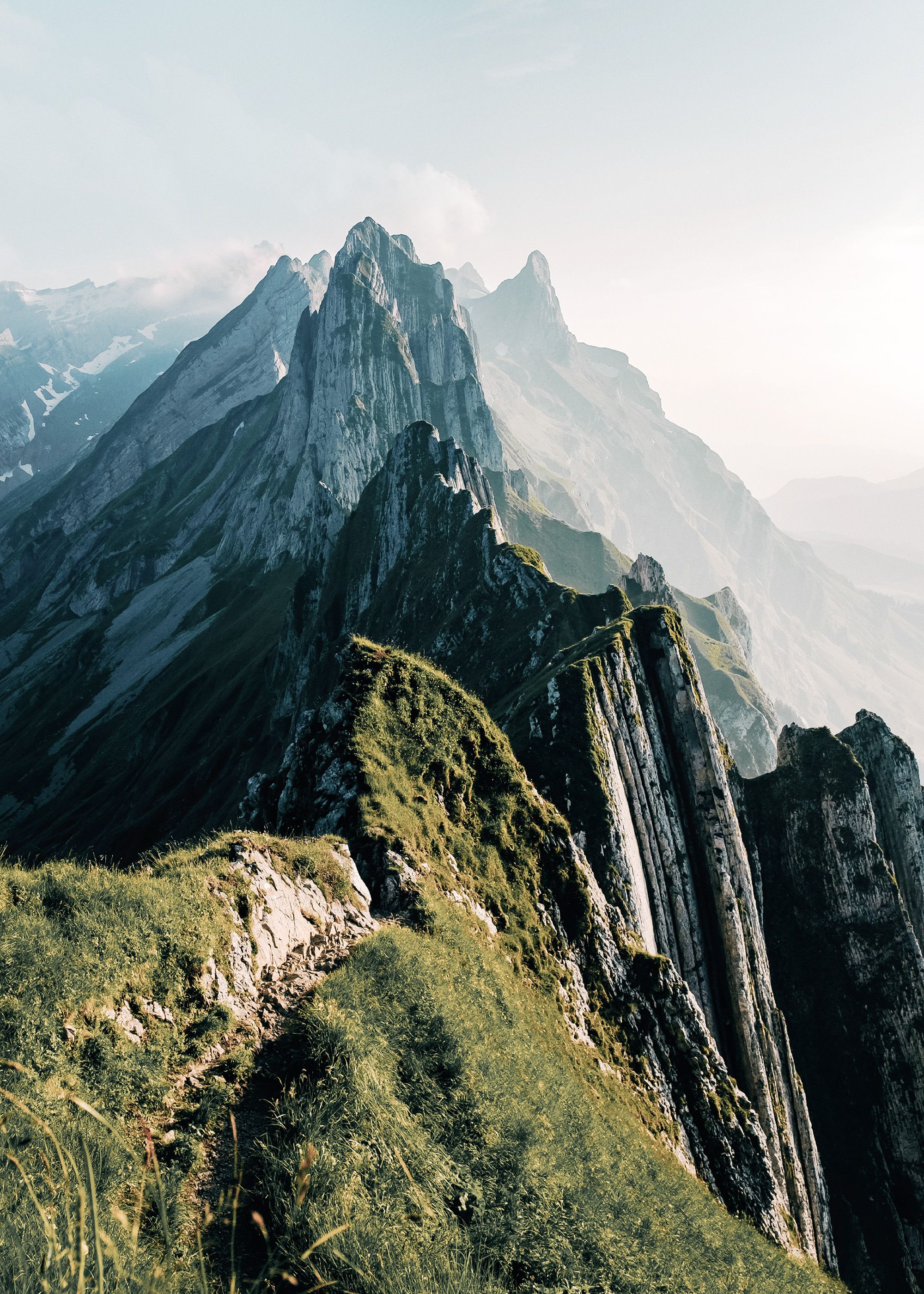 Forest Hills Poster with Misty Mountain View | Poster Store US