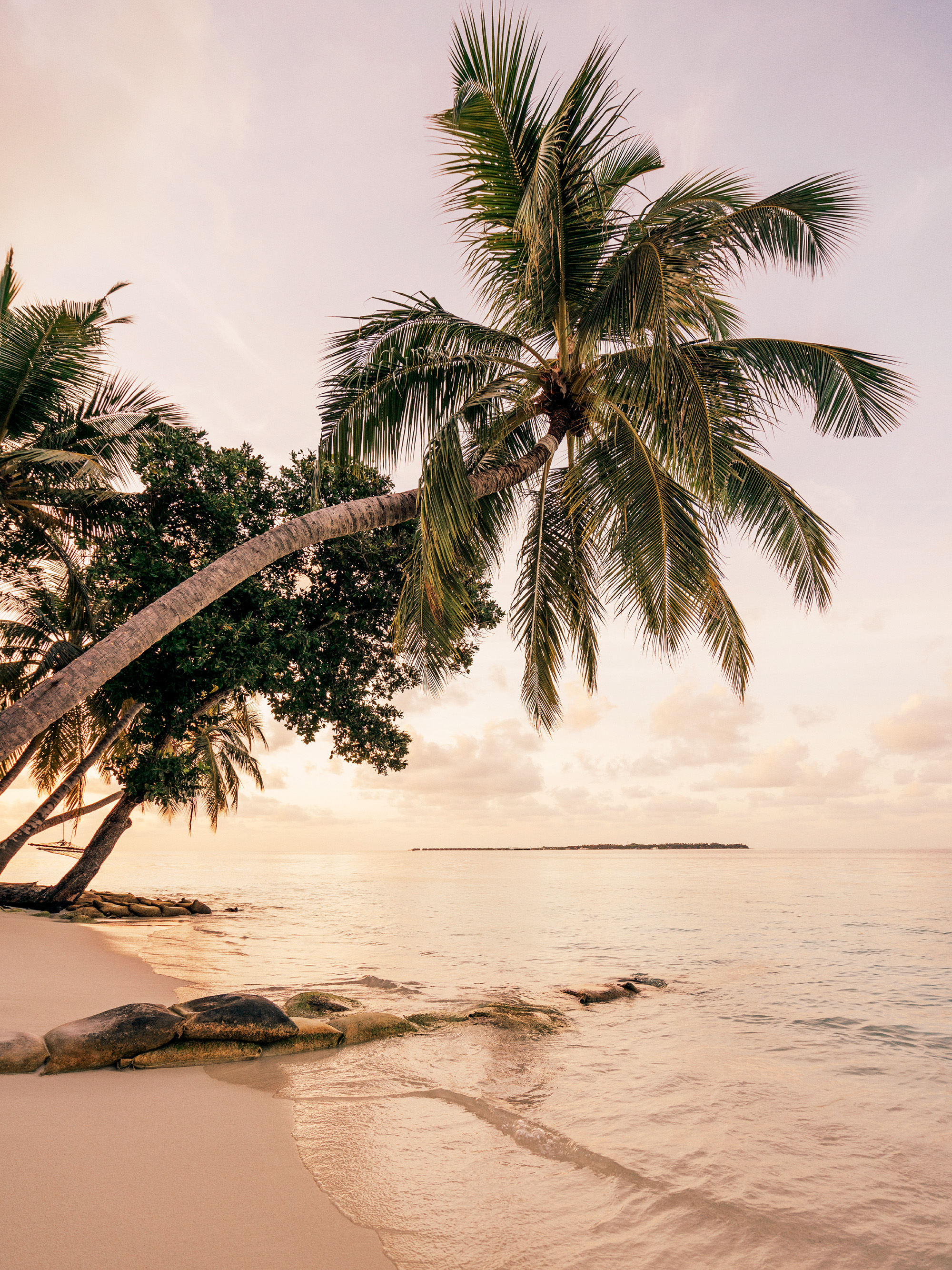木版画『Tropical paradise 』 Tropical Paradise Beach Palm Tree Poster | Poster Store CA