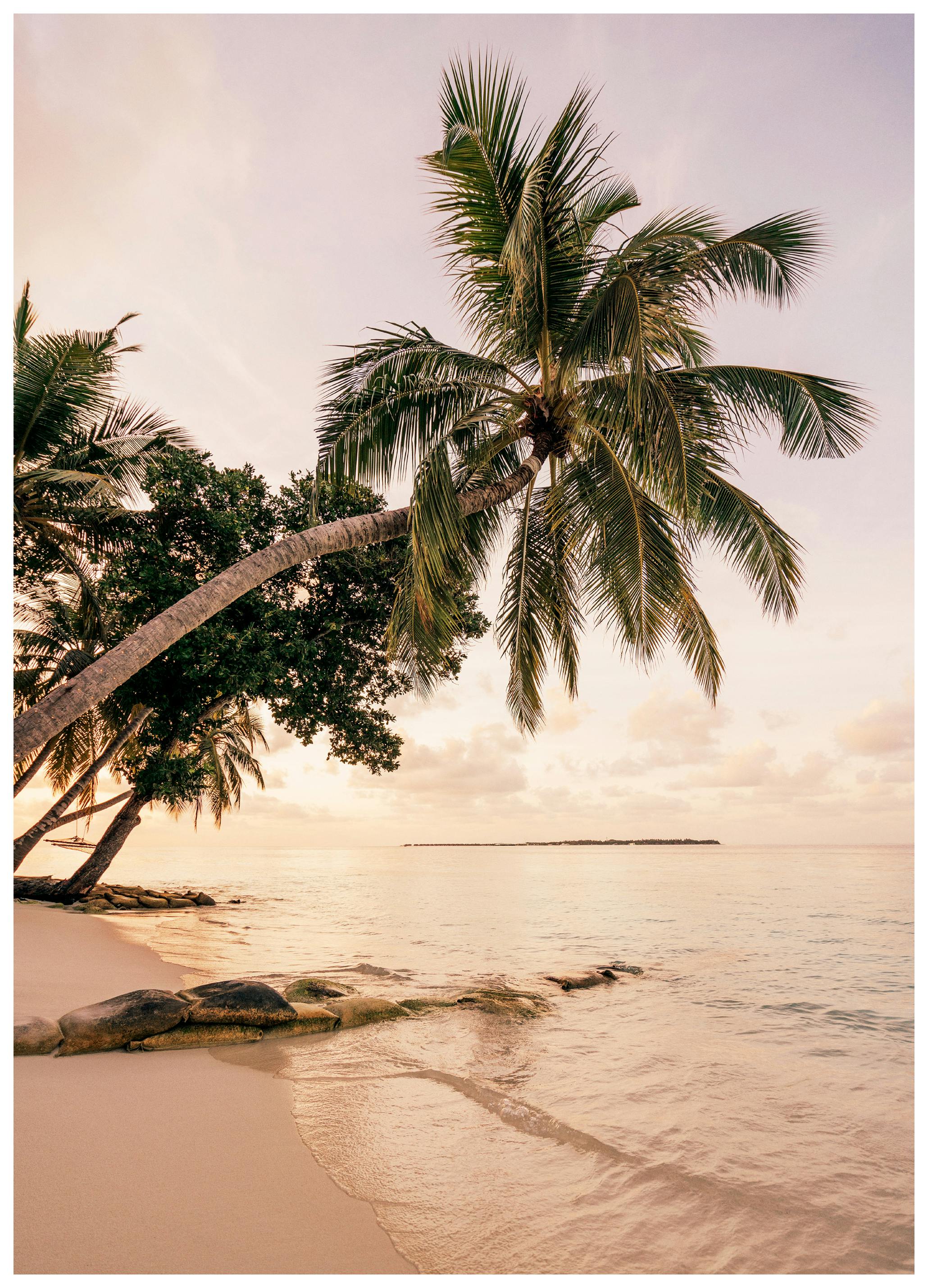 Tropisch Paradijs Poster (50x70 cm) - Poster Store