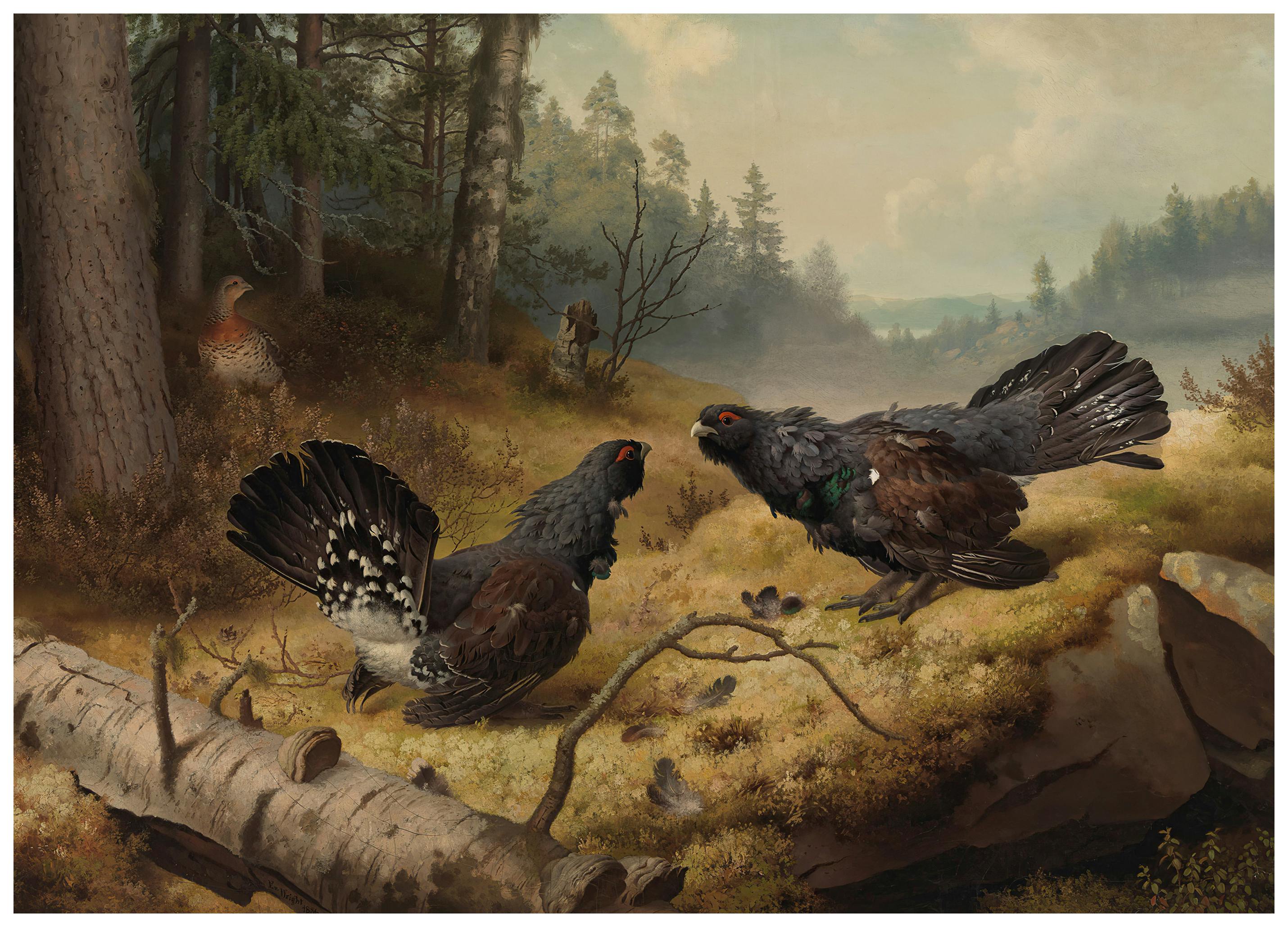 Ferdinand von Wright - Les Grands Tétras en Combat Poster (70x100 cm) - Poster Store