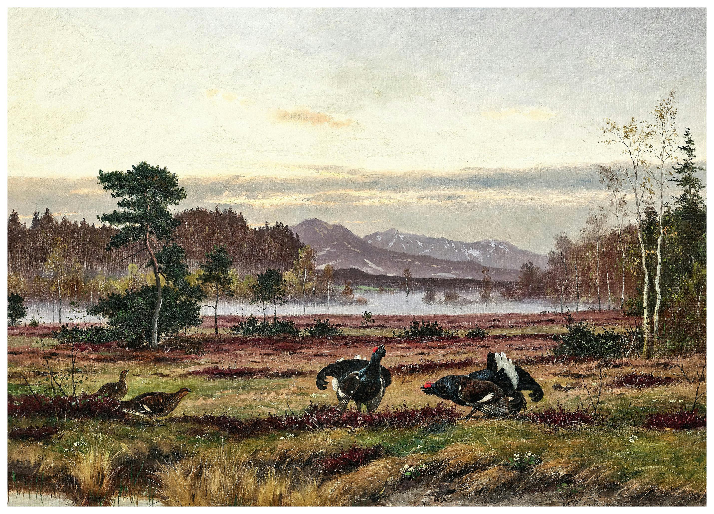 Otto Recknagel - Black Grouse Courtship Poster (40x50 cm) - Poster Store