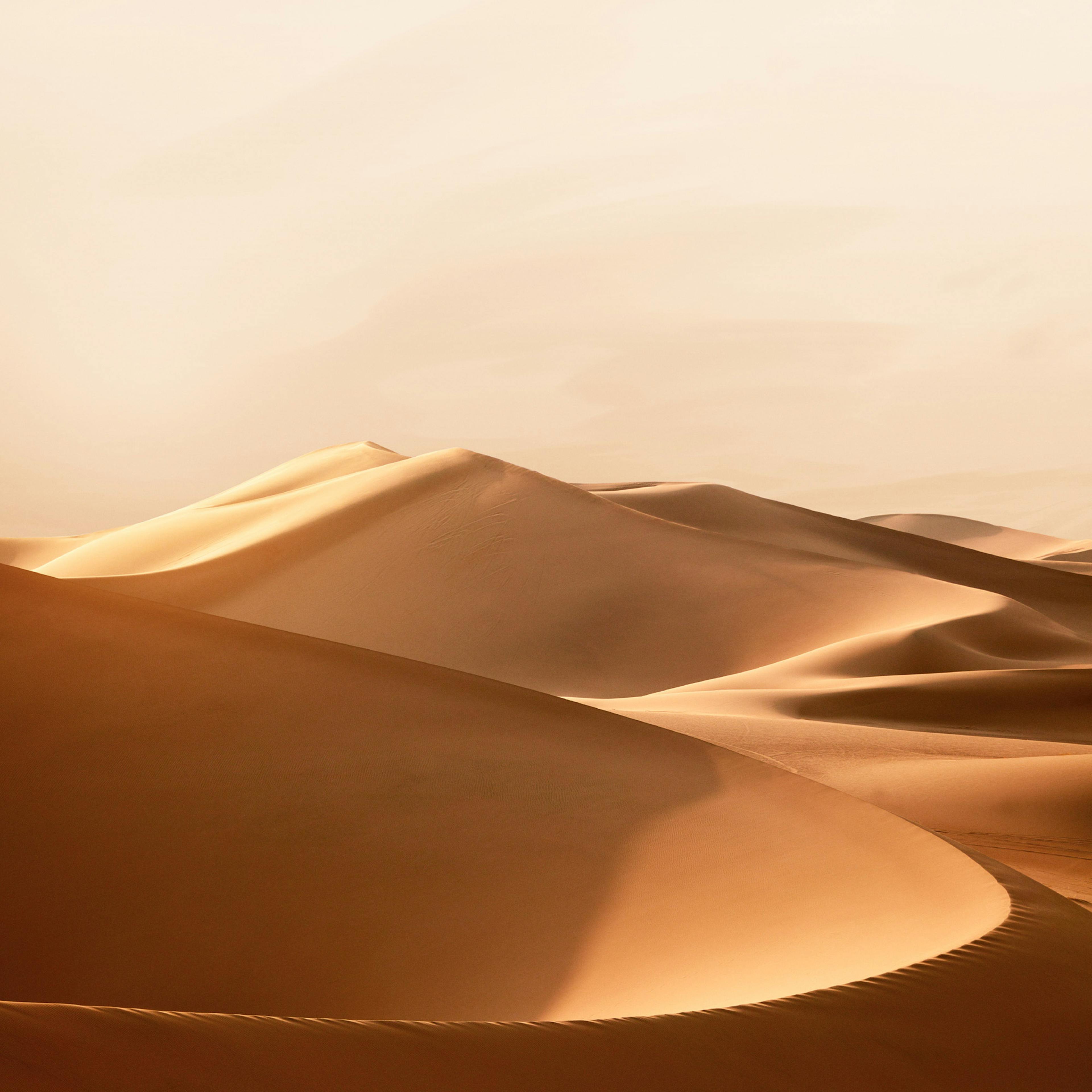 Sunset in the Desert Poster 0