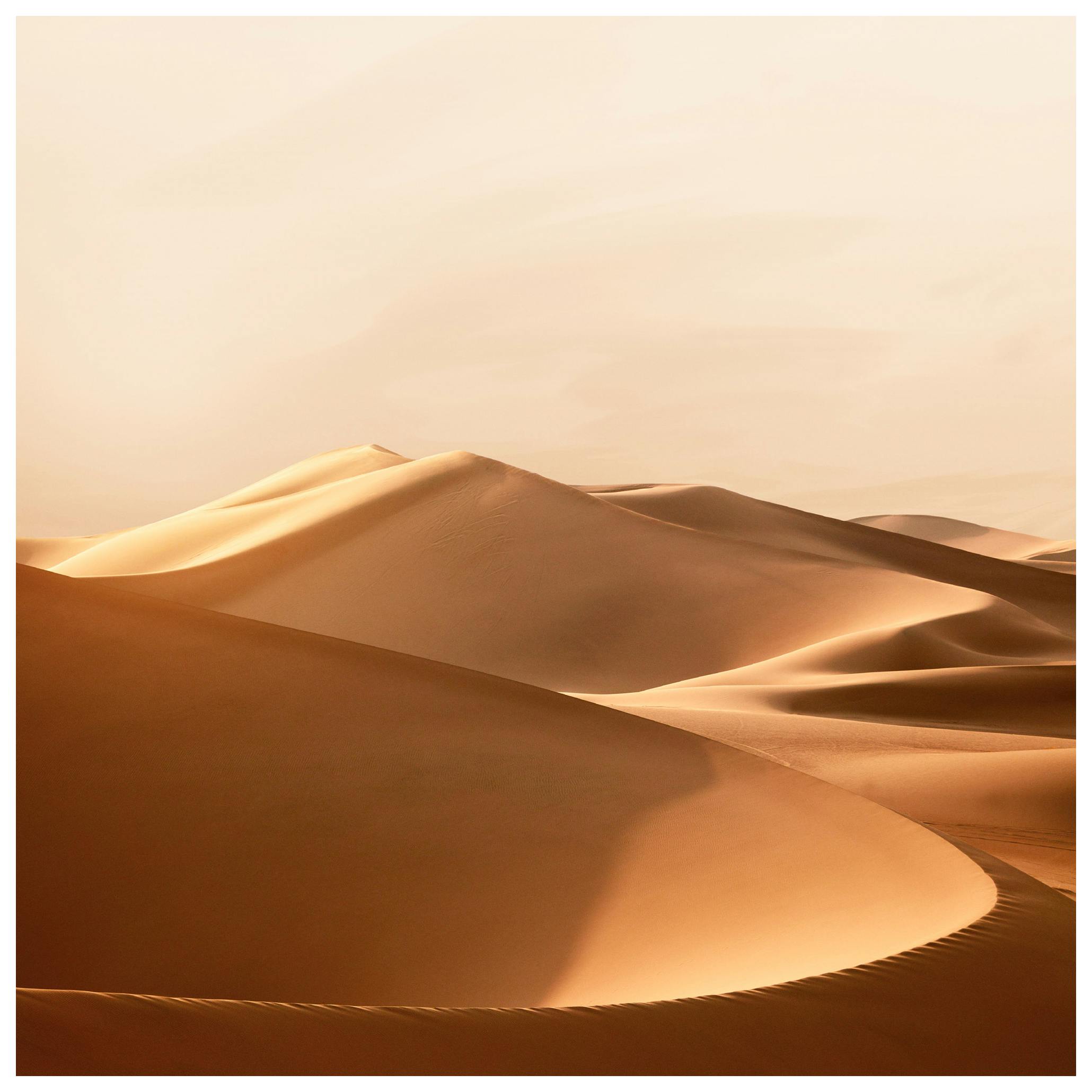 Zonsondergang in de Woestijn Poster (50x50 cm) - Poster Store