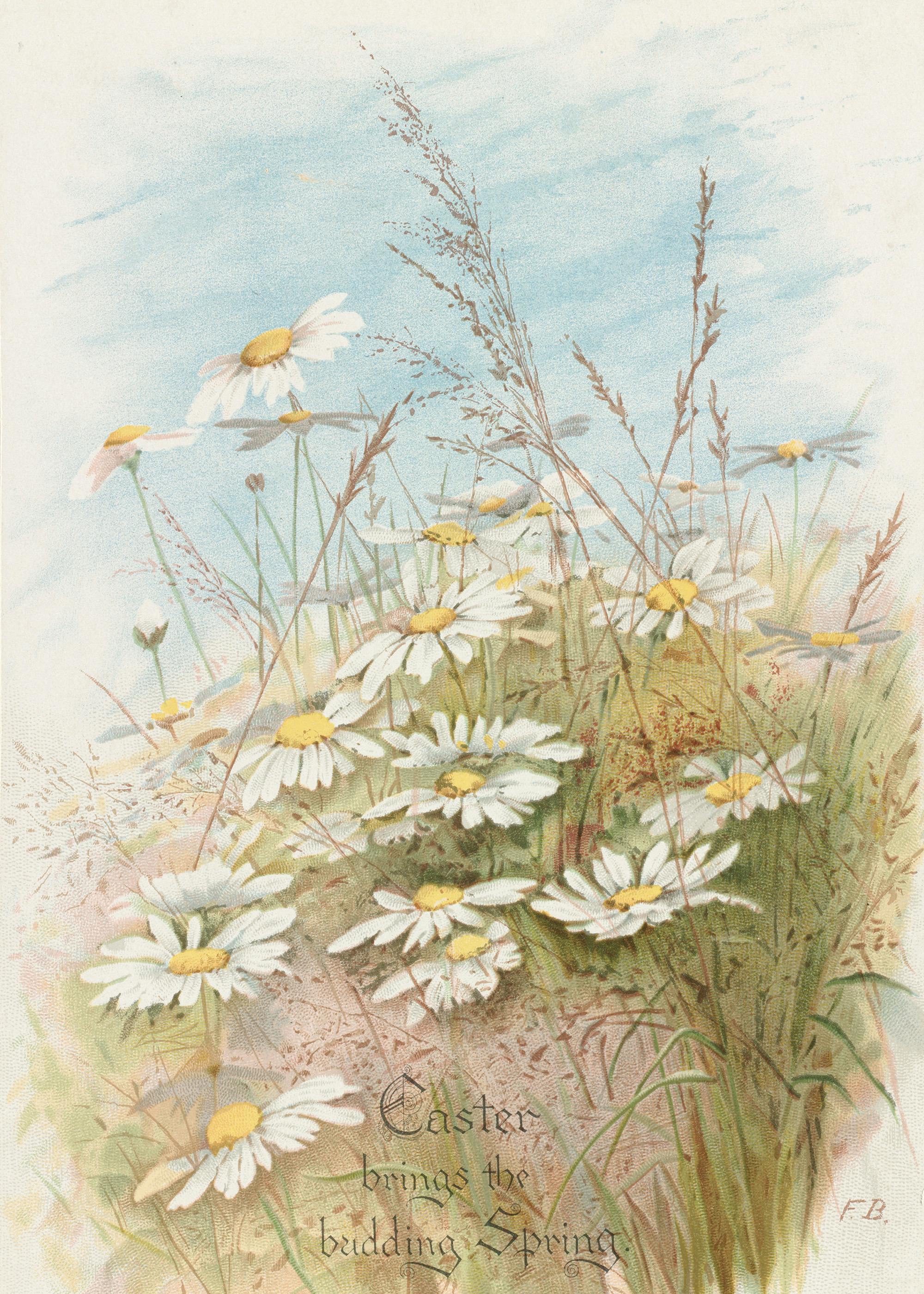 Soft Daisy Meadow Poster 0