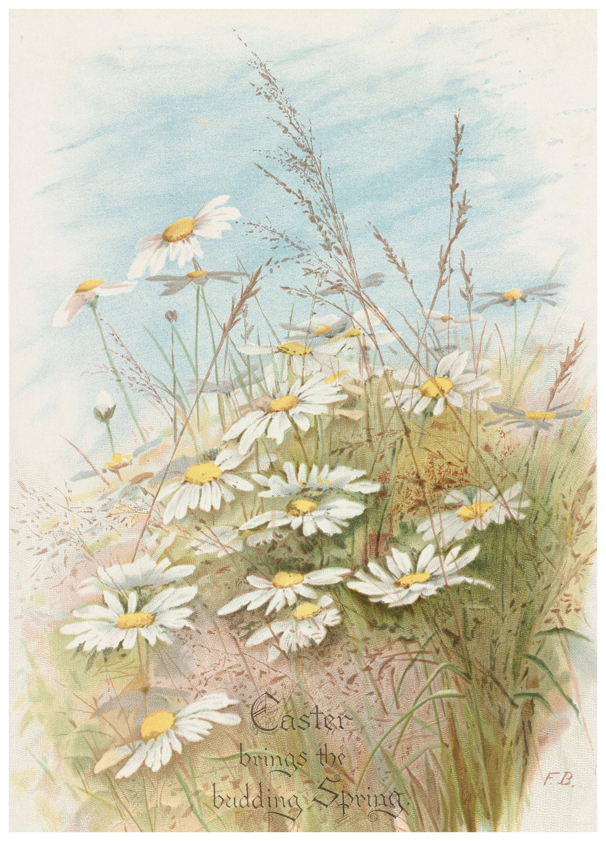 Soft Daisy Meadow Poster (21x30 cm) - Poster Store
