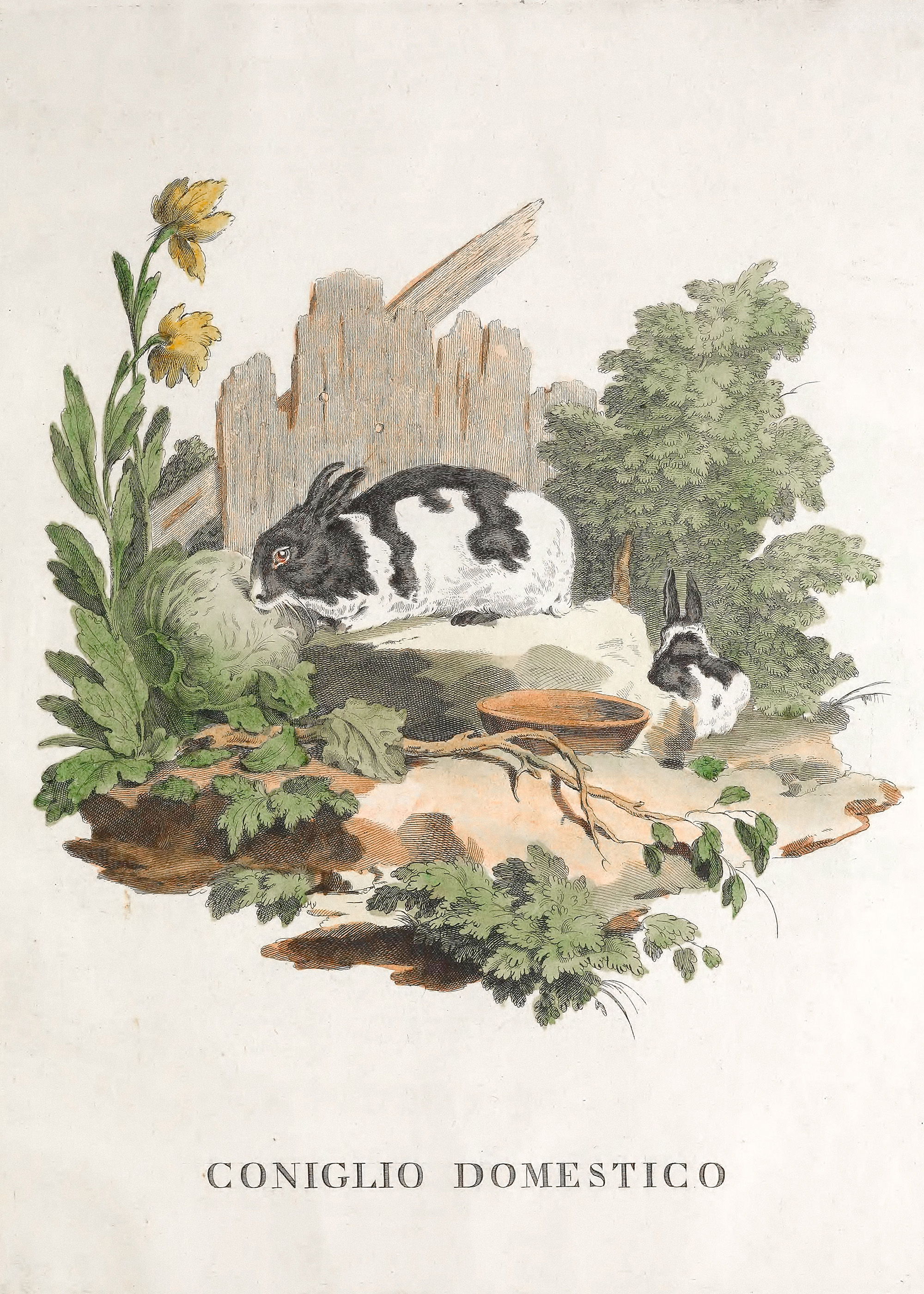 Vintage Rabbit Botanical Poster | Poster Store US