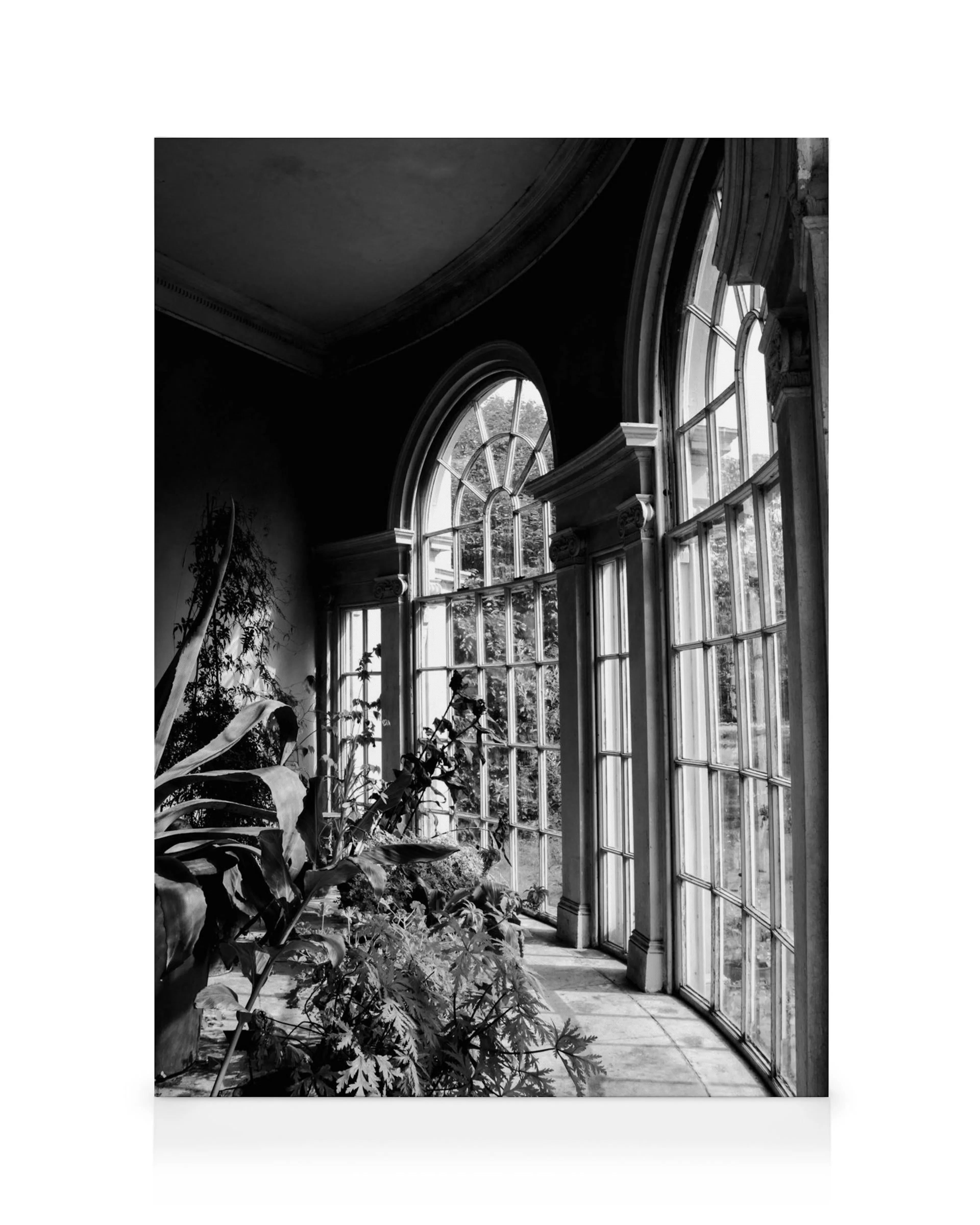 Garden of Light Canvas print 0