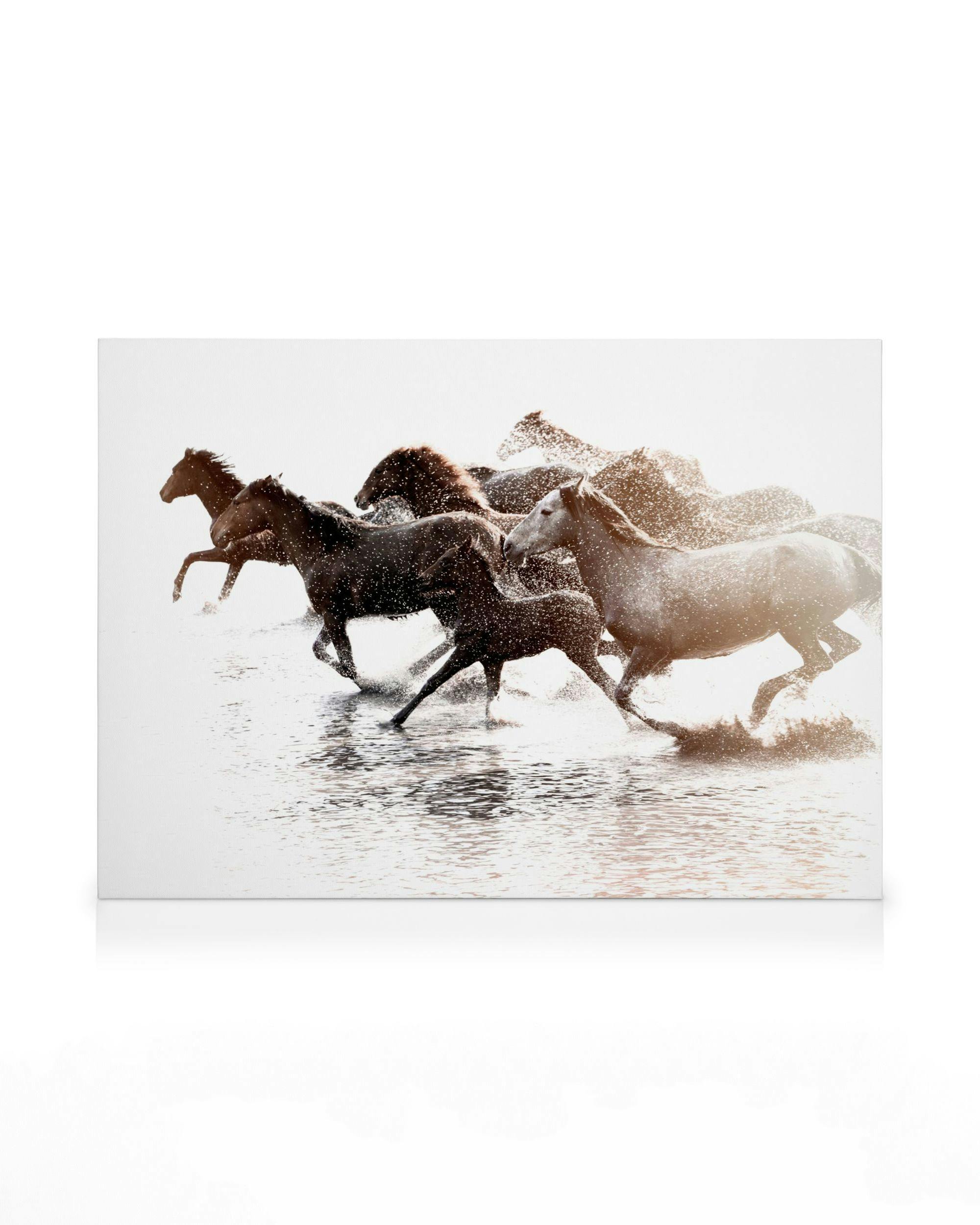 Canvas Prints - Running Horses Canvas print (50x70 cm) - Poster Store