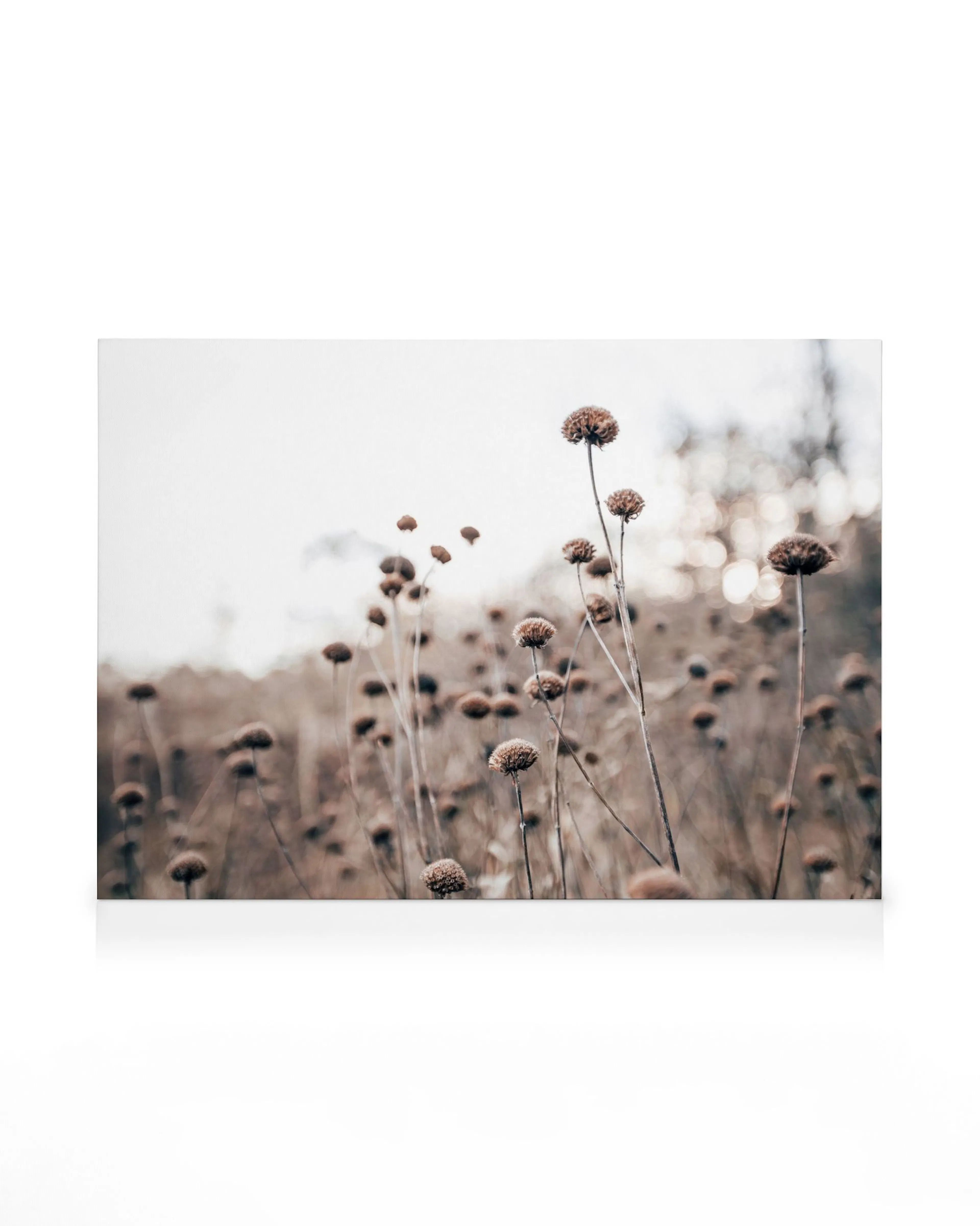 Product image: 1