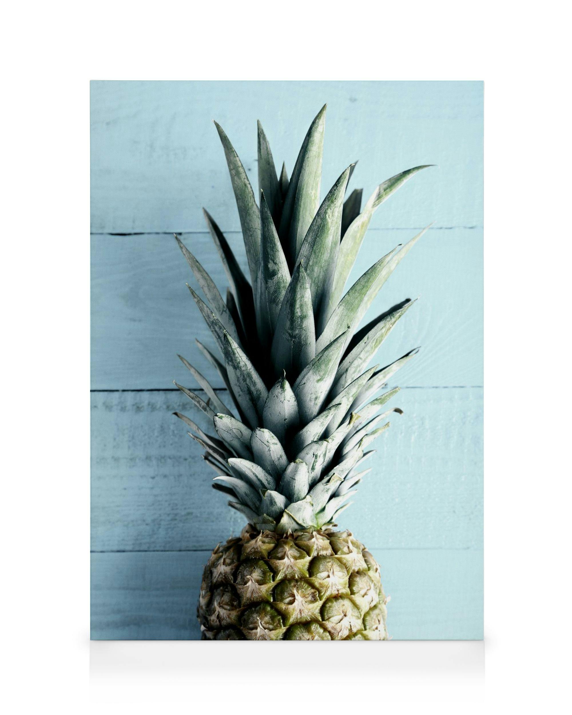 Pineapple Top Canvas print (30x40 cm) - Poster Store