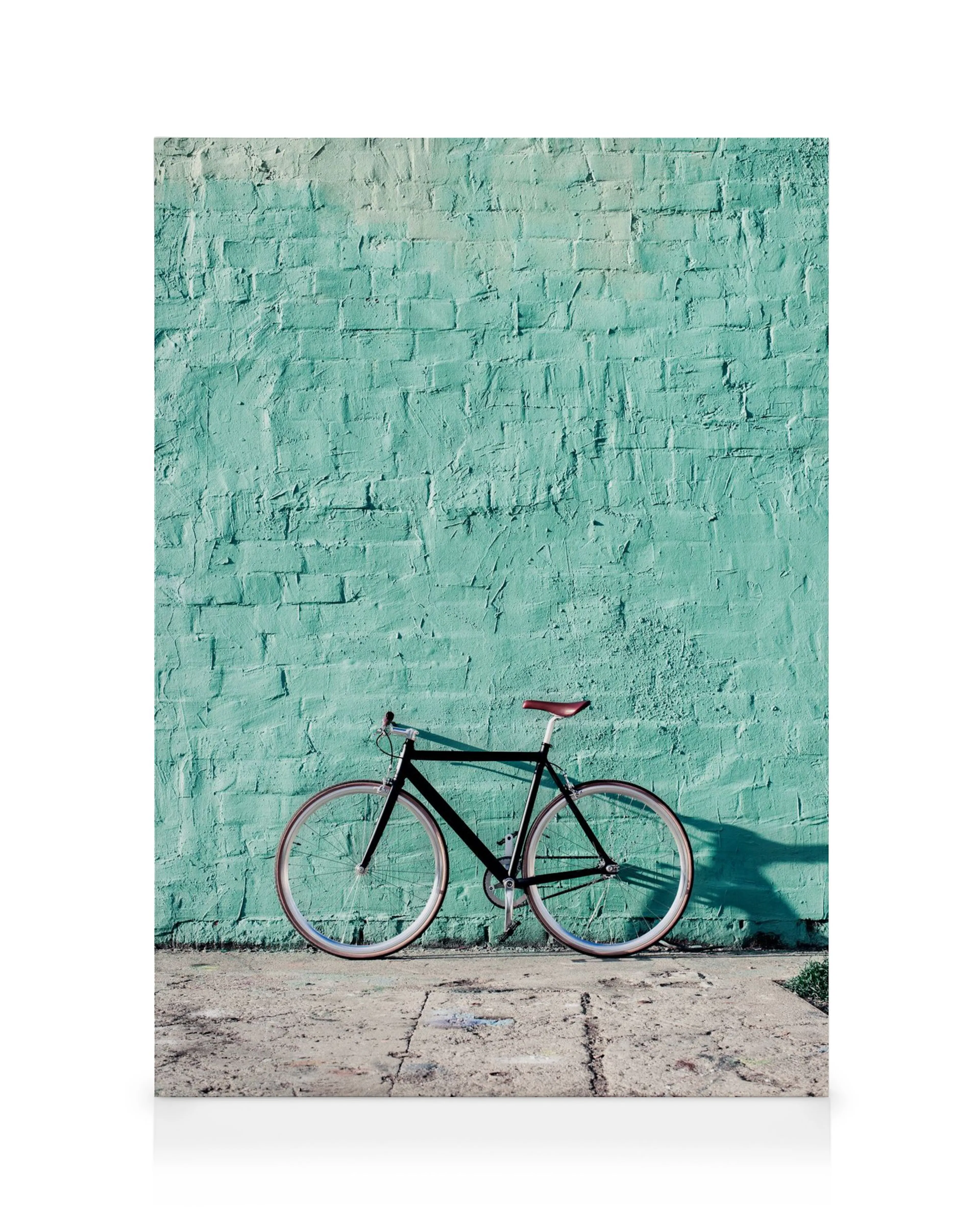 Mint Bike Canvas print 0