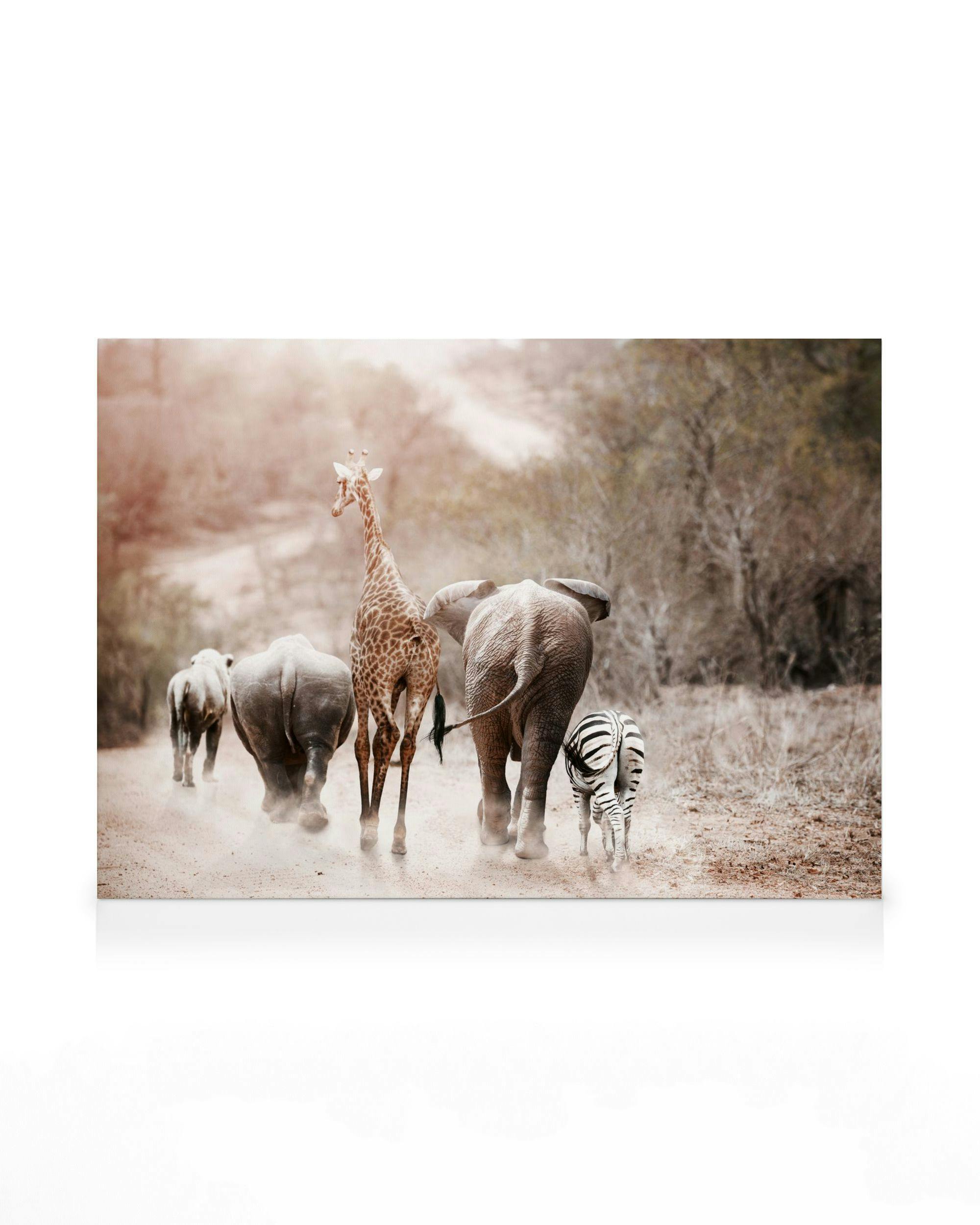 Canvas Prints - Friendship Canvas print (50x70 cm) - Poster Store