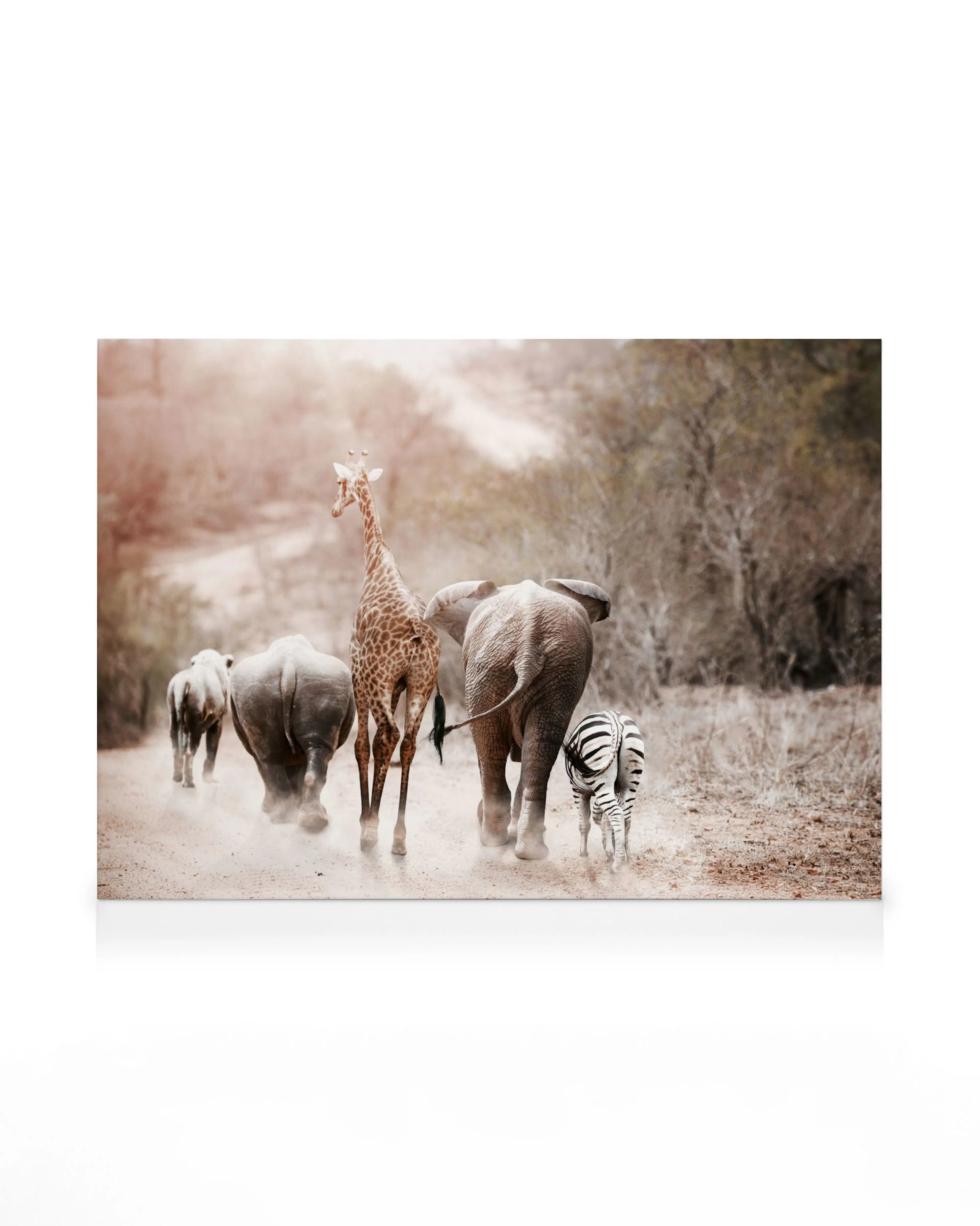 Friendship Canvas print 0