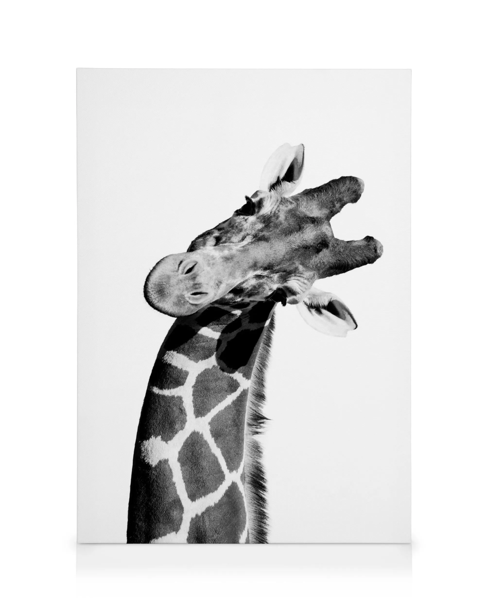 Giraffe Portrait Canvas print 0