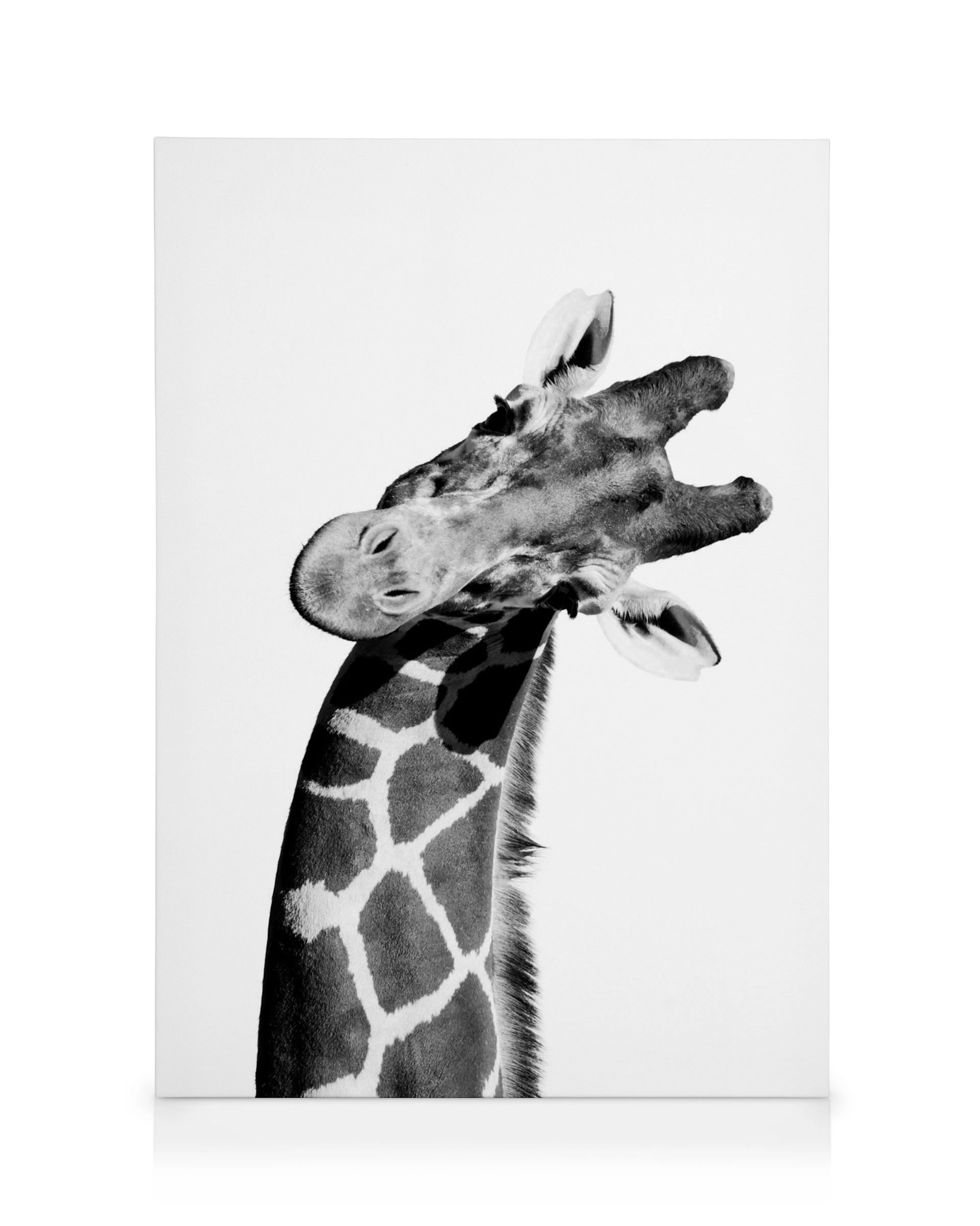 Giraffe Portrait Canvas print 0
